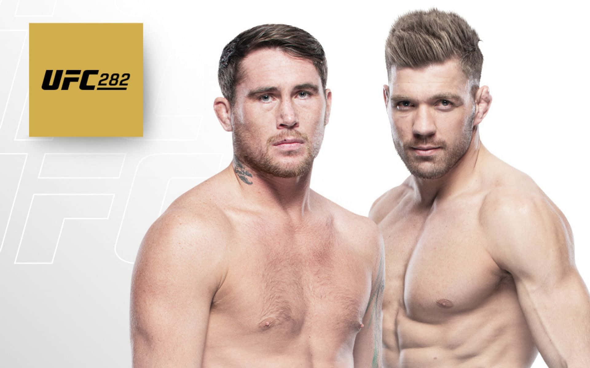 桌布 壁紙 — 兩名肌肉發達的UFC拳手在純白色背景和金色UFC 282標誌前凝視鏡頭。