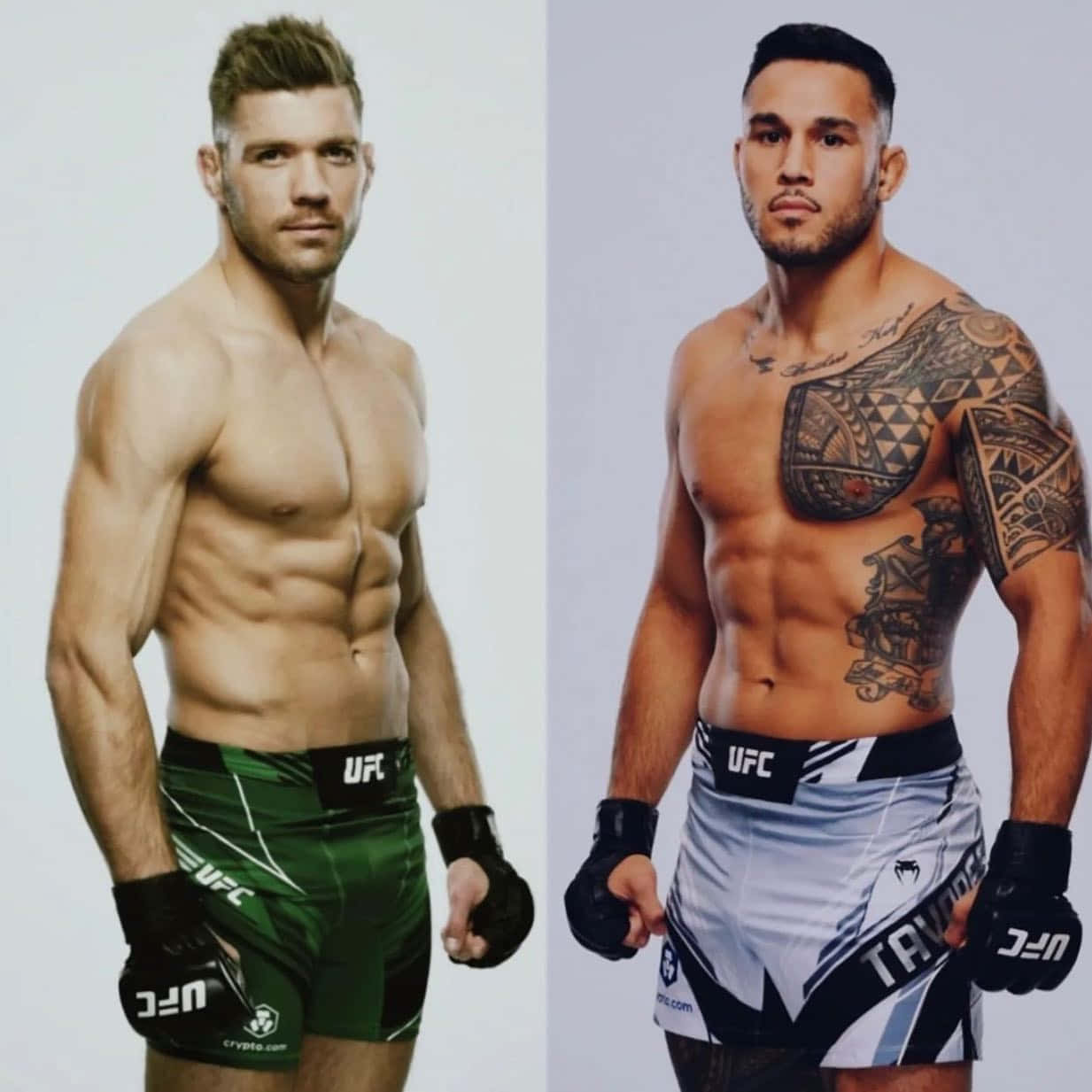UFC 桌布 壁紙 — 兩名肌肉發達的UFC拳手在純色背景前赤裸上身擺姿勢，一人穿綠色短褲，另一人穿白色短褲並有部落紋身。