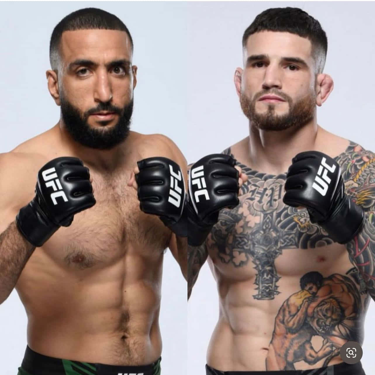 MMA 桌布 壁紙 — 兩名肌肉發達的UFC拳手戴著黑色手套，在純白色背景前擺出強烈的姿勢。