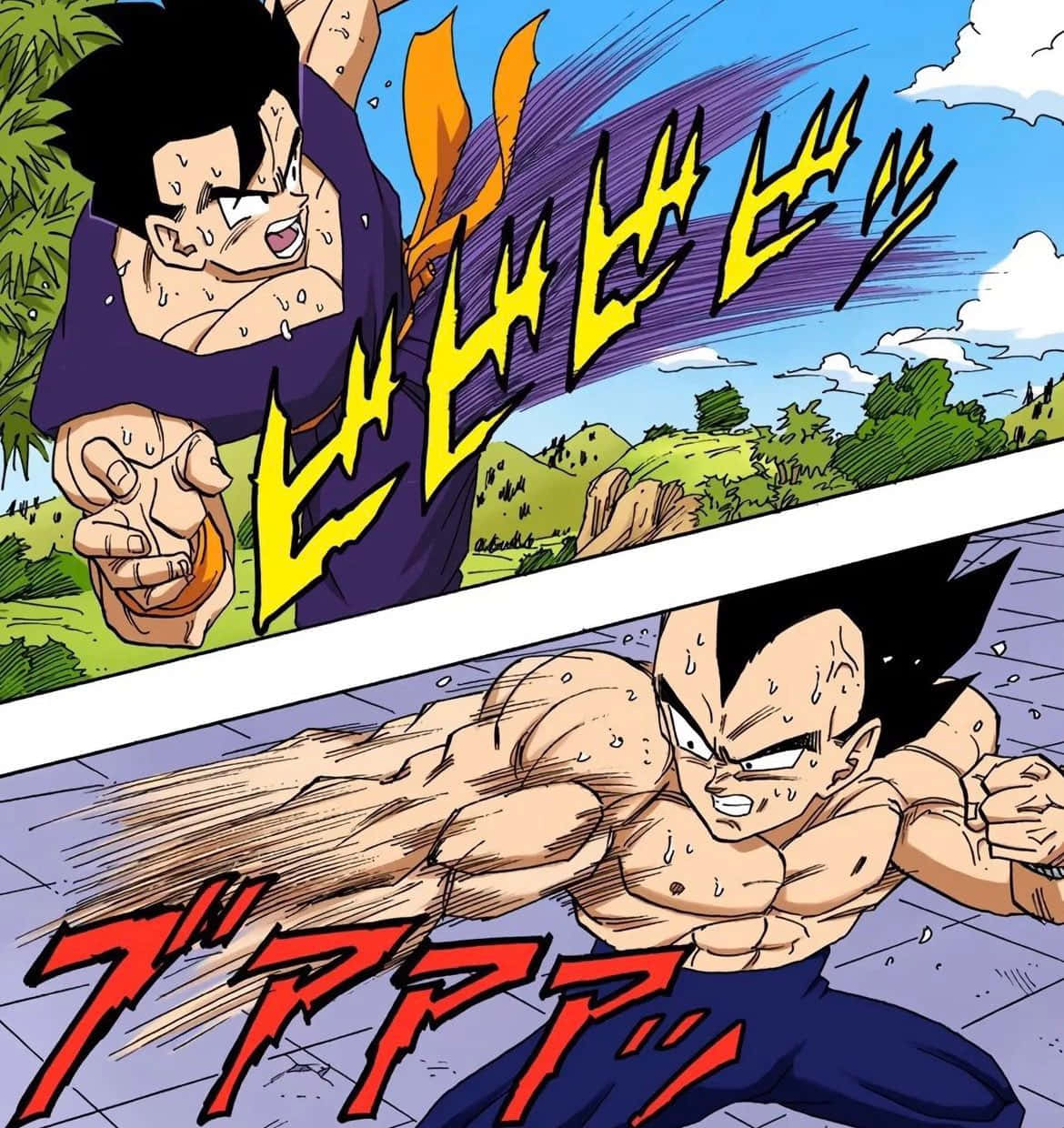 Buu Saga 桌布 壁紙 — 兩名肌肉發達的動漫戰士在明亮的藍天下，於動態戰鬥場景中釋放出強大的能量衝擊波。