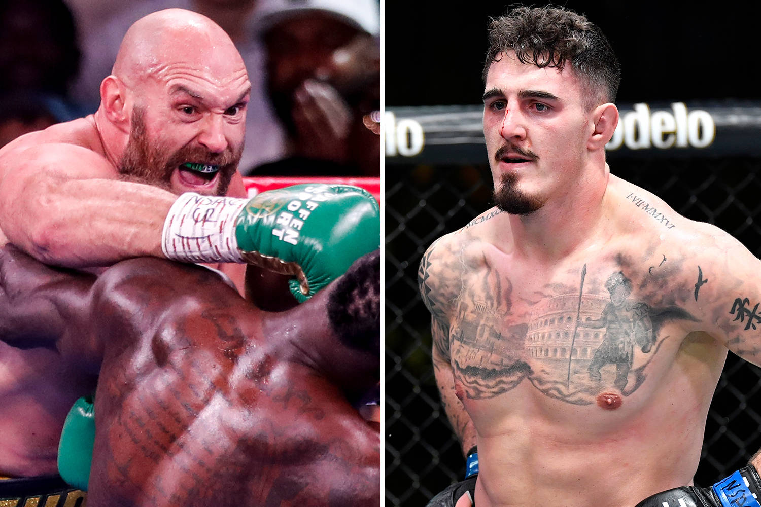UFC 桌布 壁紙 — 兩名肌肉發達的戰士在戰鬥中，一人出拳，另一人挑釁地站在八角籠中。