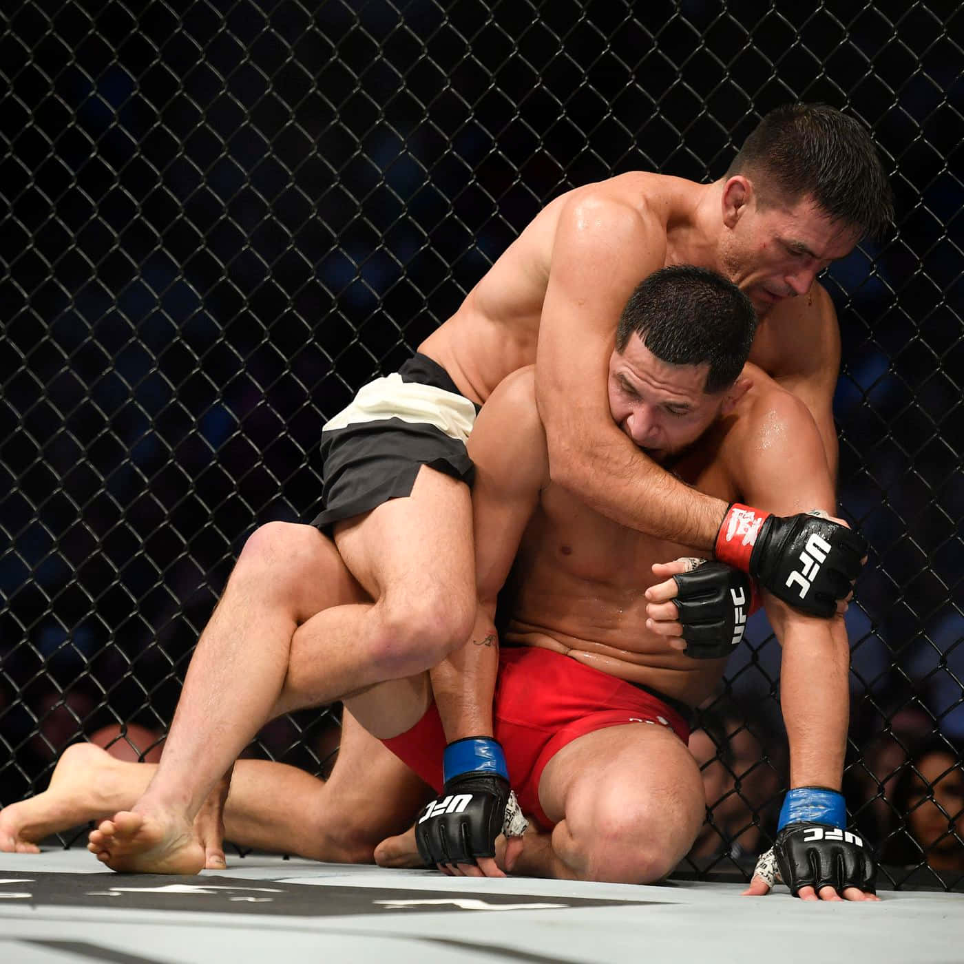 Champion 桌布 壁紙 — 兩名肌肉發達的拳手在UFC八角籠中激烈纏鬥，背景為鐵絲網圍欄。