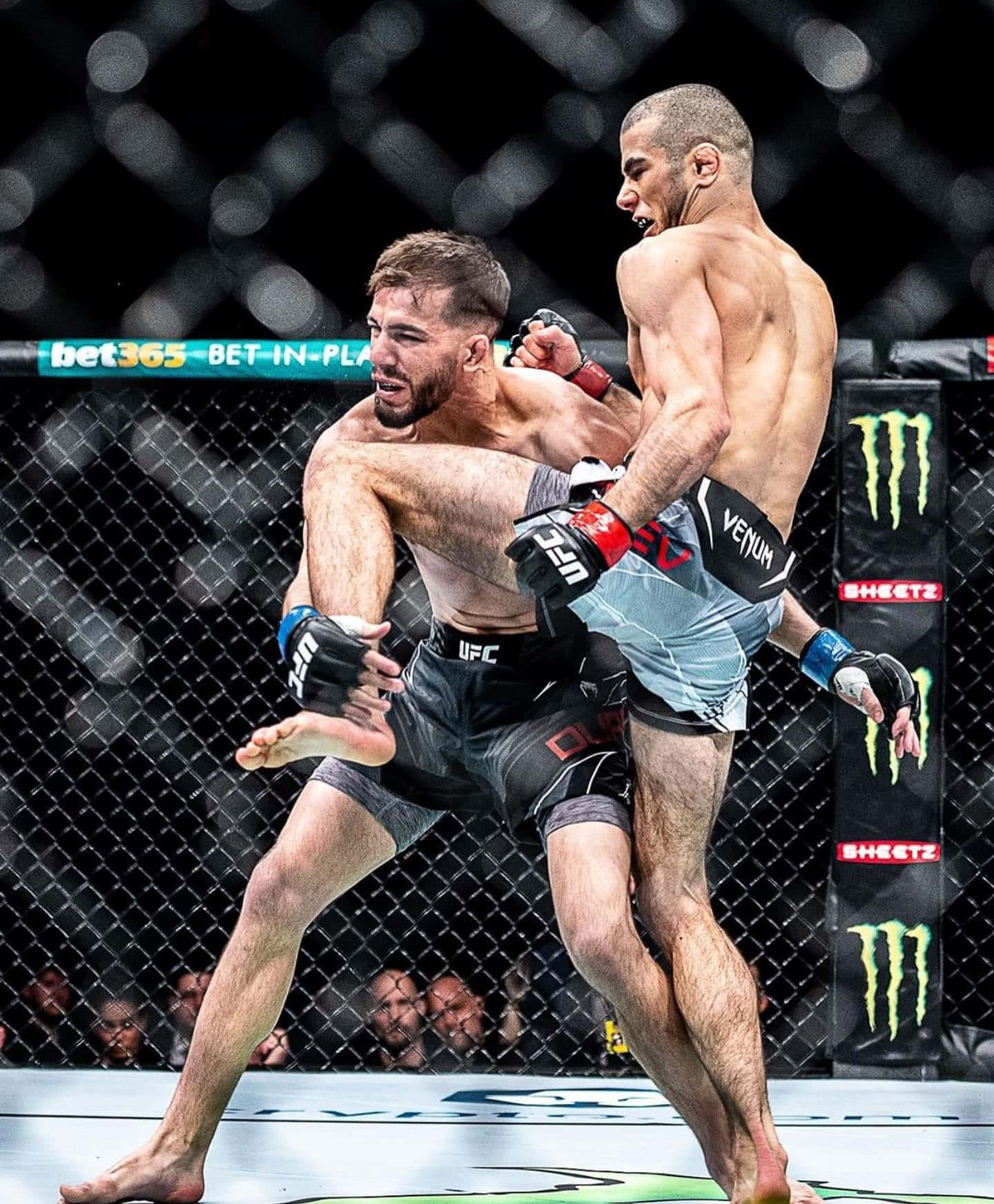 MMA 桌布 壁紙 — 兩名肌肉發達的拳手在UFC八角籠內激烈纏鬥，背景有模糊的觀眾和贊助商標誌。