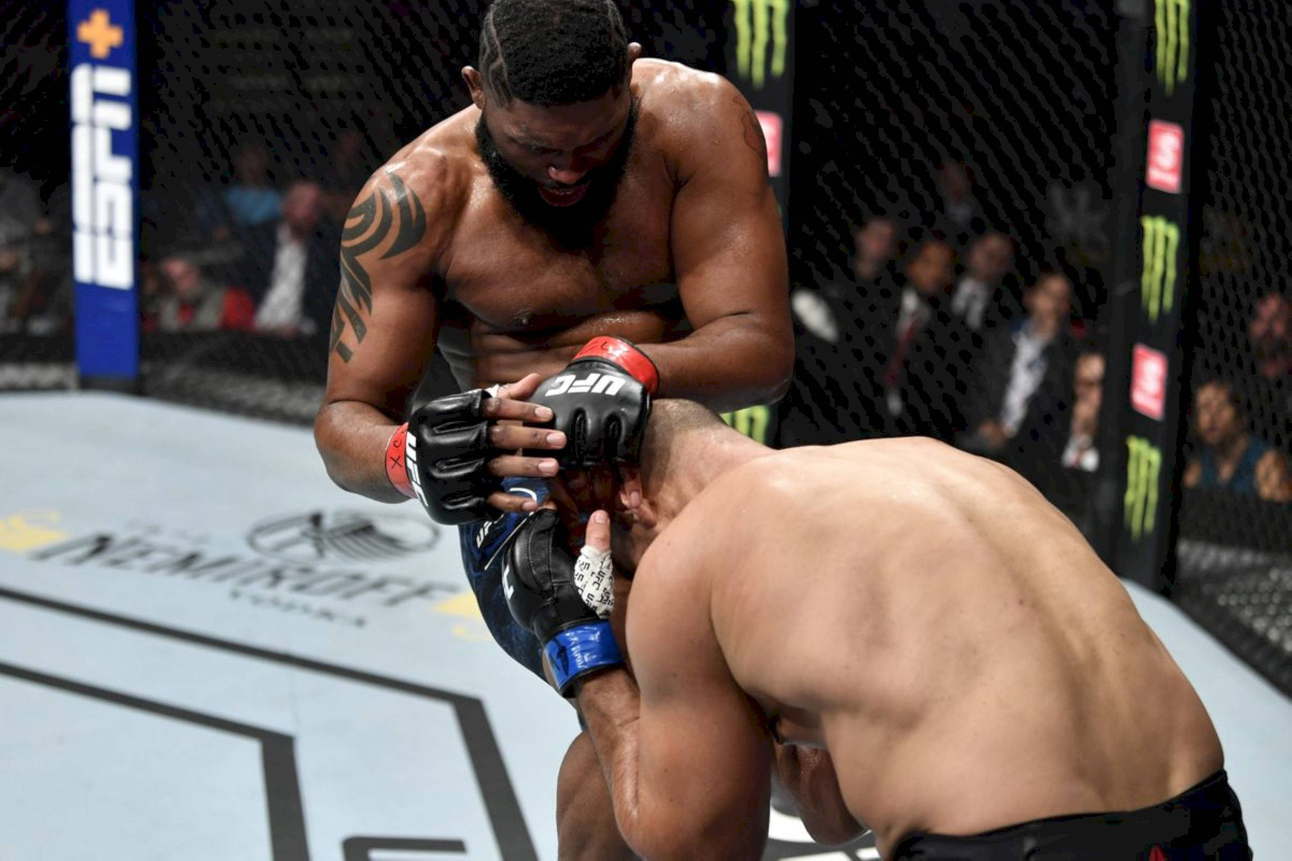 Fight 桌布 壁紙 — 兩名肌肉發達的拳手在UFC八角籠中激烈纏鬥，背景有模糊的觀眾和可見的品牌標誌。