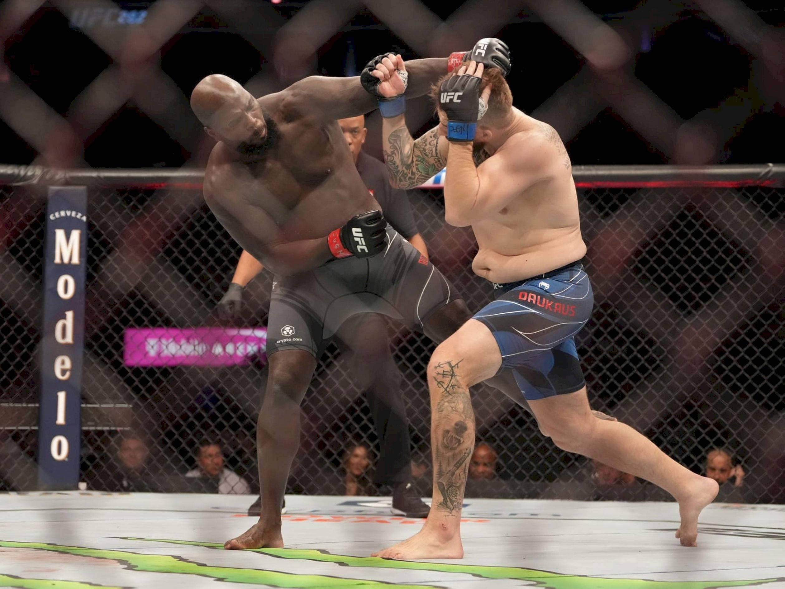 MMA 桌布 壁紙 — 兩名肌肉發達的拳手在UFC八角籠內激烈纏鬥，裁判和人群在鐵絲網後清晰可見。