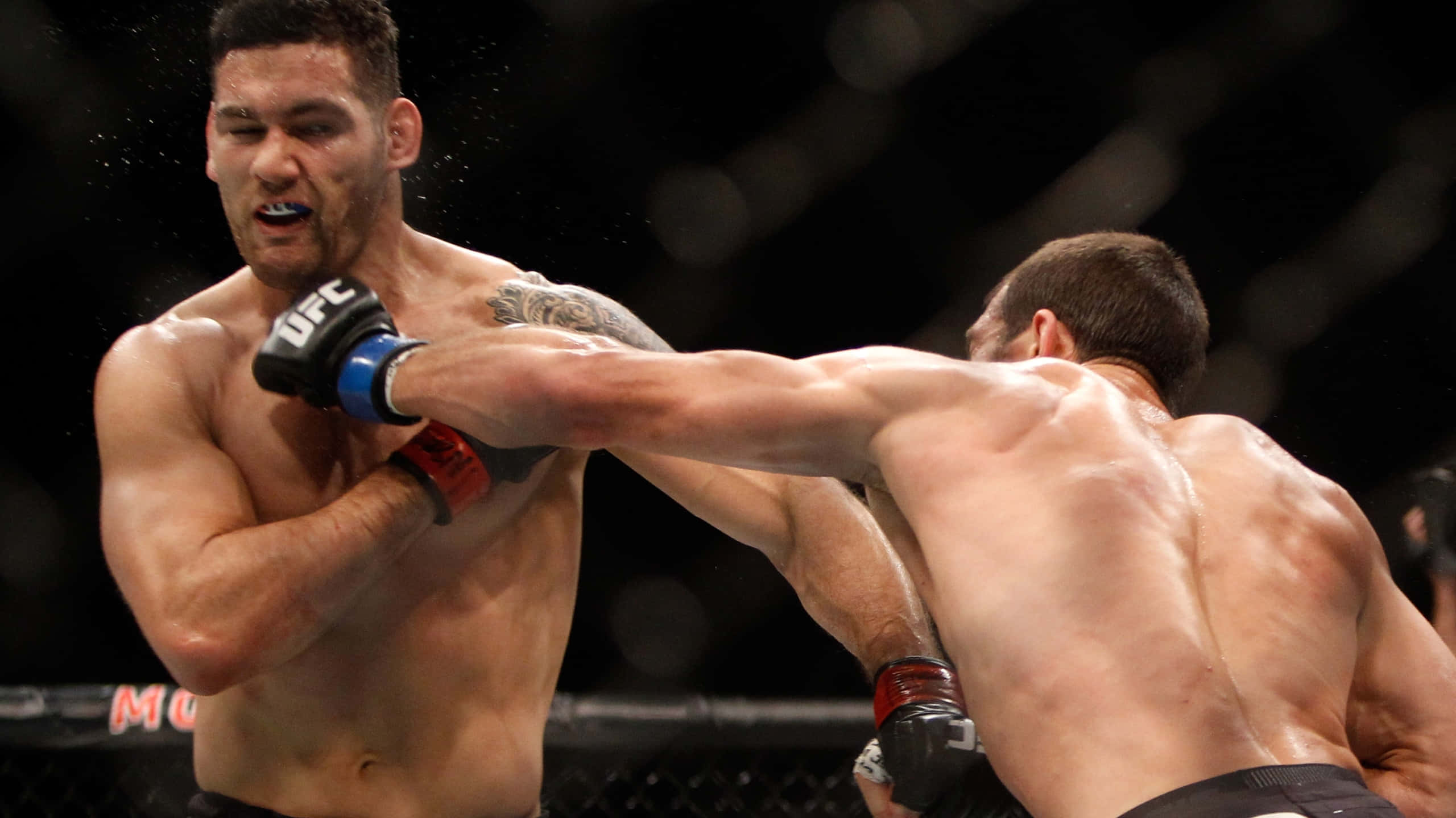 MMA 桌布 壁紙 — 兩名肌肉發達的拳手在UFC八角籠中激烈交鋒，汗水飛濺，其中一人向對方軀幹打出強力一拳。