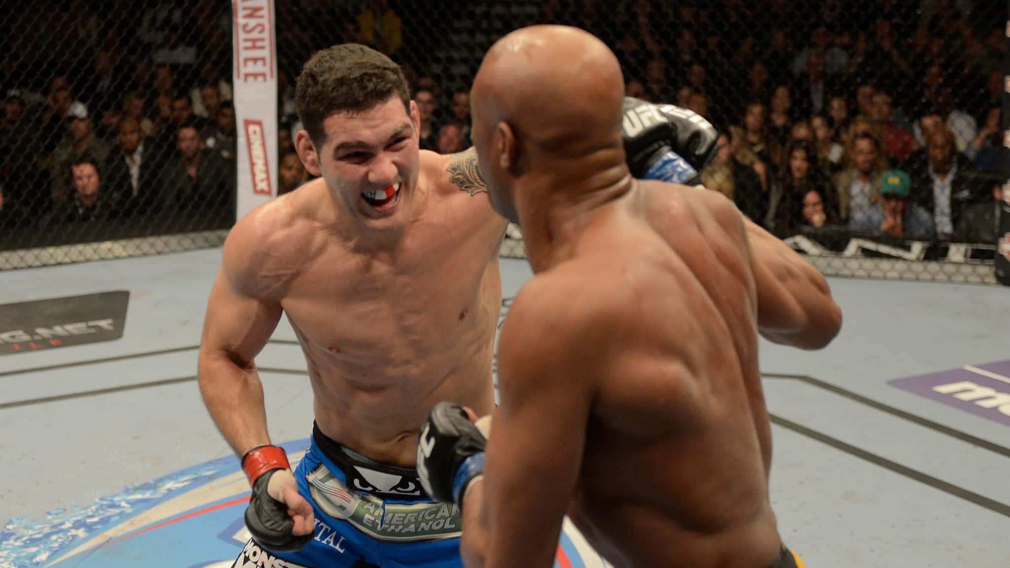 MMA 桌布 壁紙 — 兩名肌肉發達的拳手在八角籠內激烈對戰，觀眾歡呼聲震天。