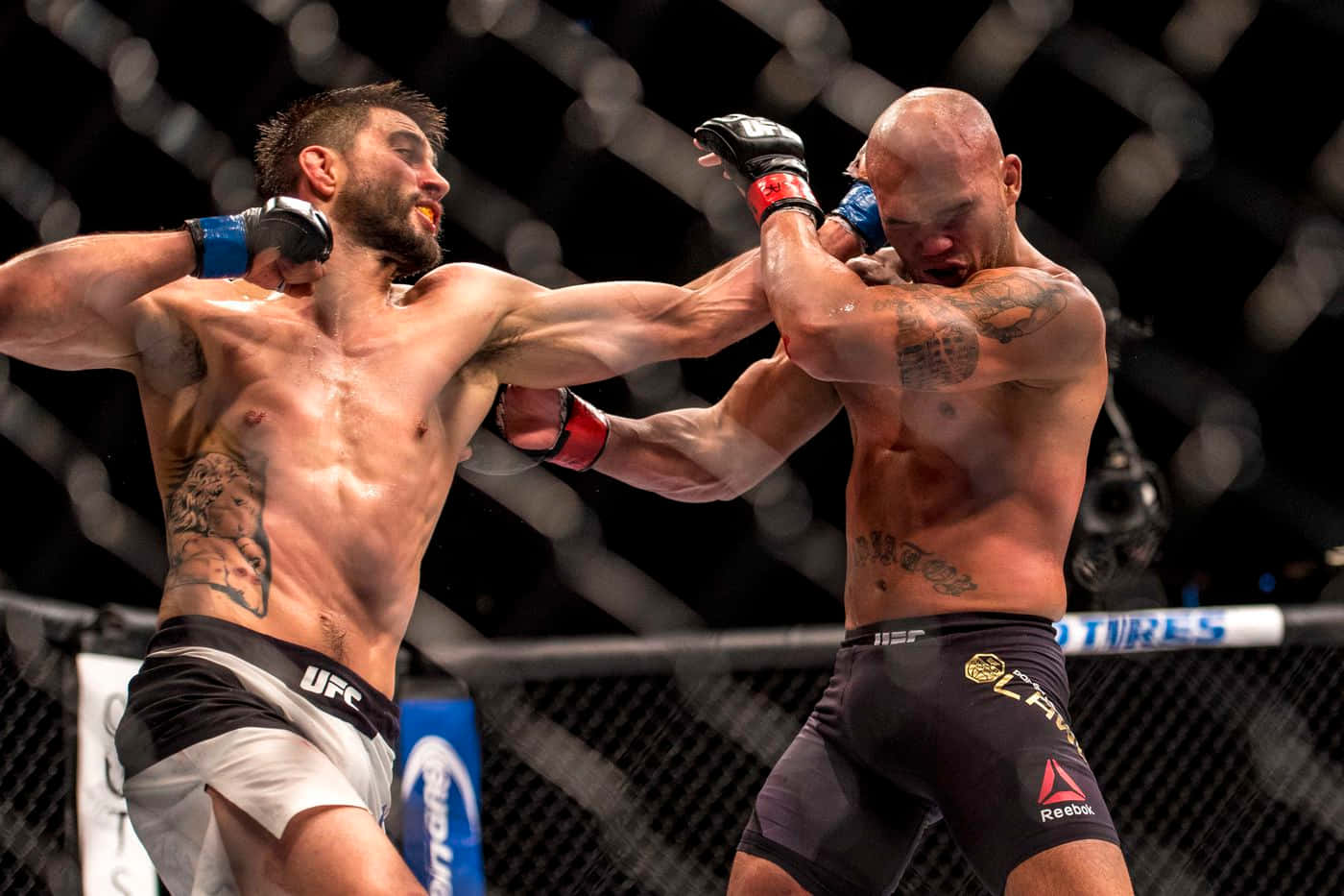 高清 桌布 壁紙 — 兩名肌肉發達的拳手在八角籠內進行高強度MMA比賽，背景為模糊的籠網。