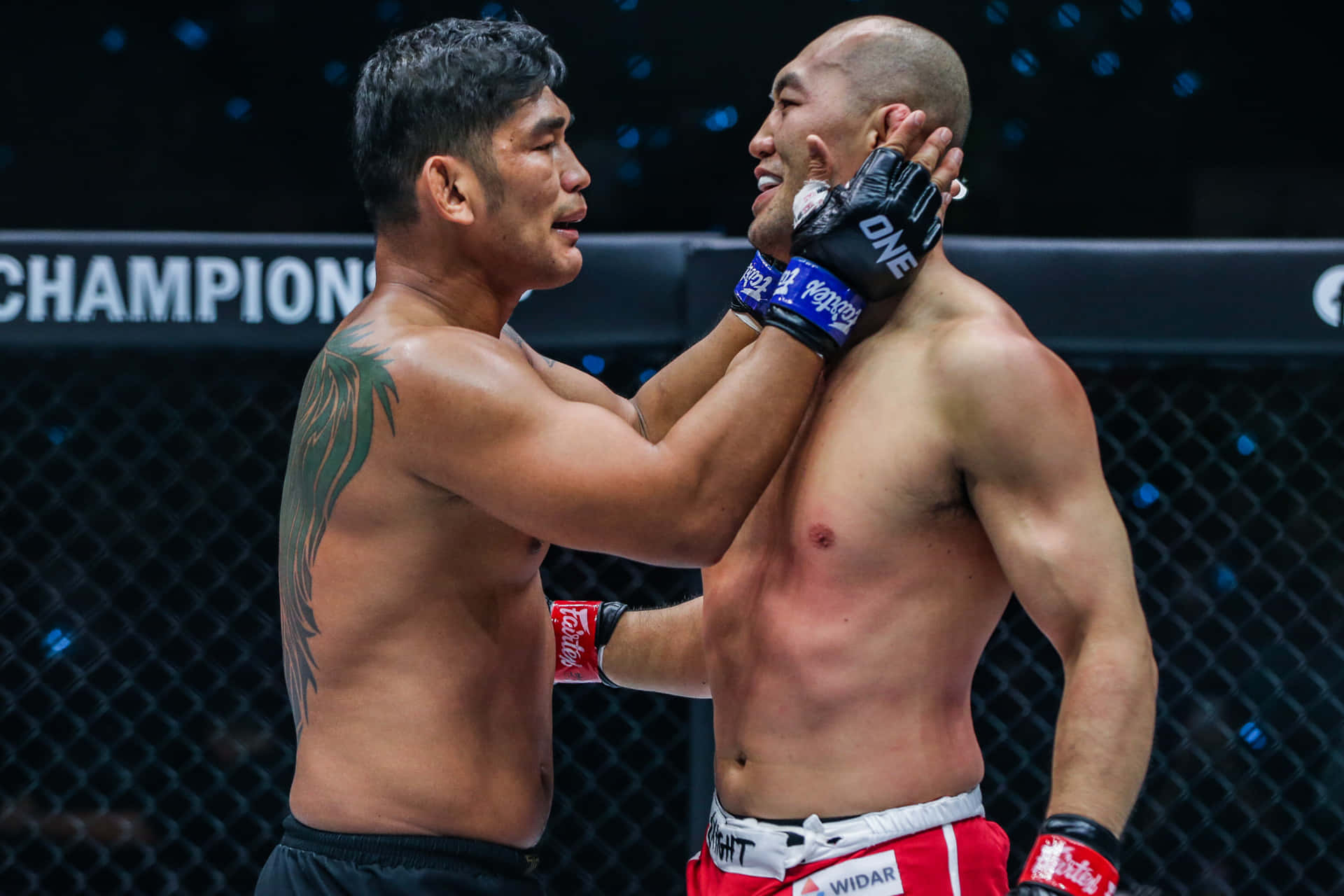UFC 桌布 壁紙 — 兩名肌肉發達的拳手在明亮的場館燈光下，於籠內進行激烈的職業MMA比賽。