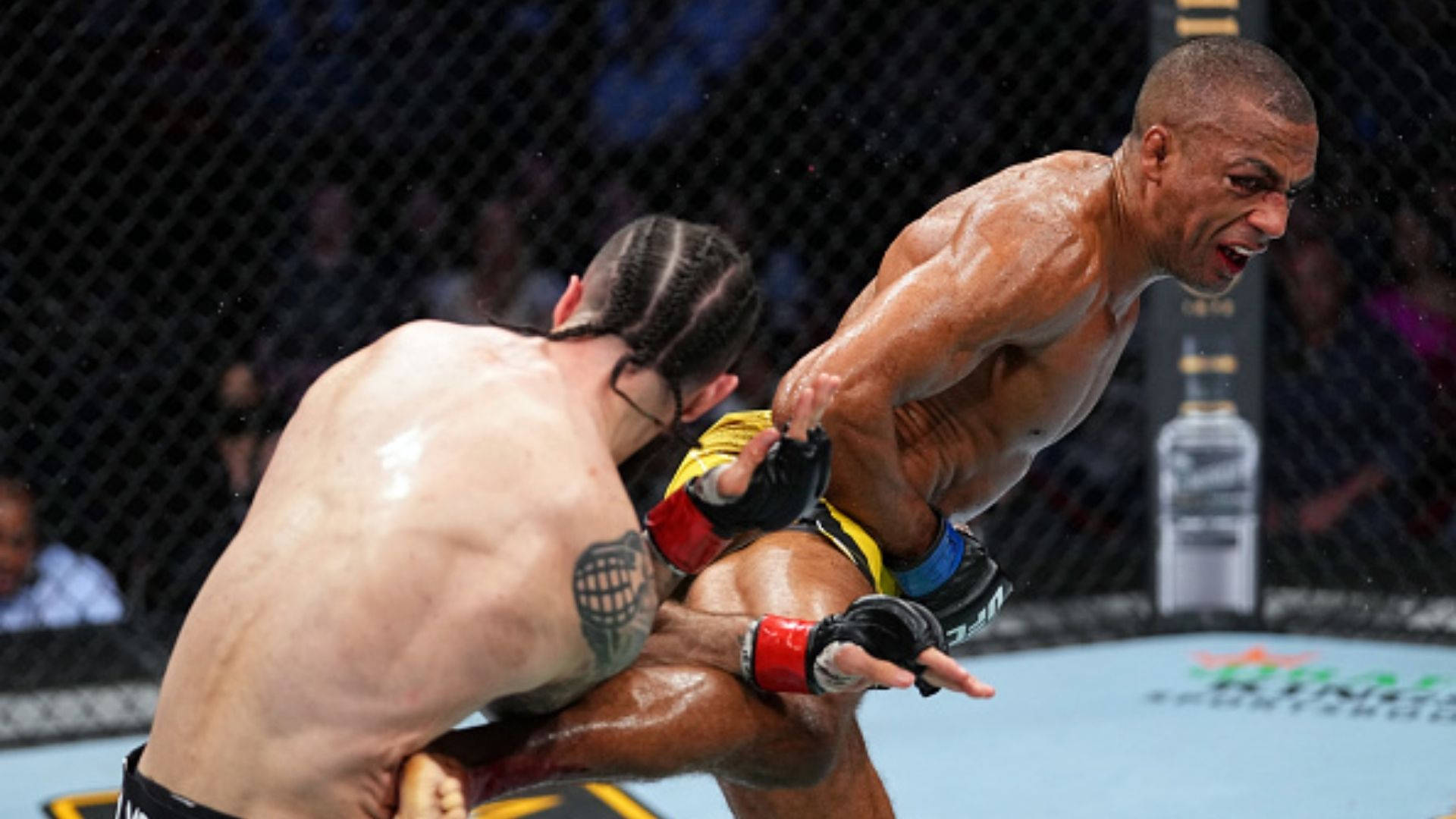 MMA 桌布 壁紙 — 兩名肌肉發達的拳手在燈光明亮的MMA八角籠內激烈纏鬥，鐵絲網後是模糊的人群。