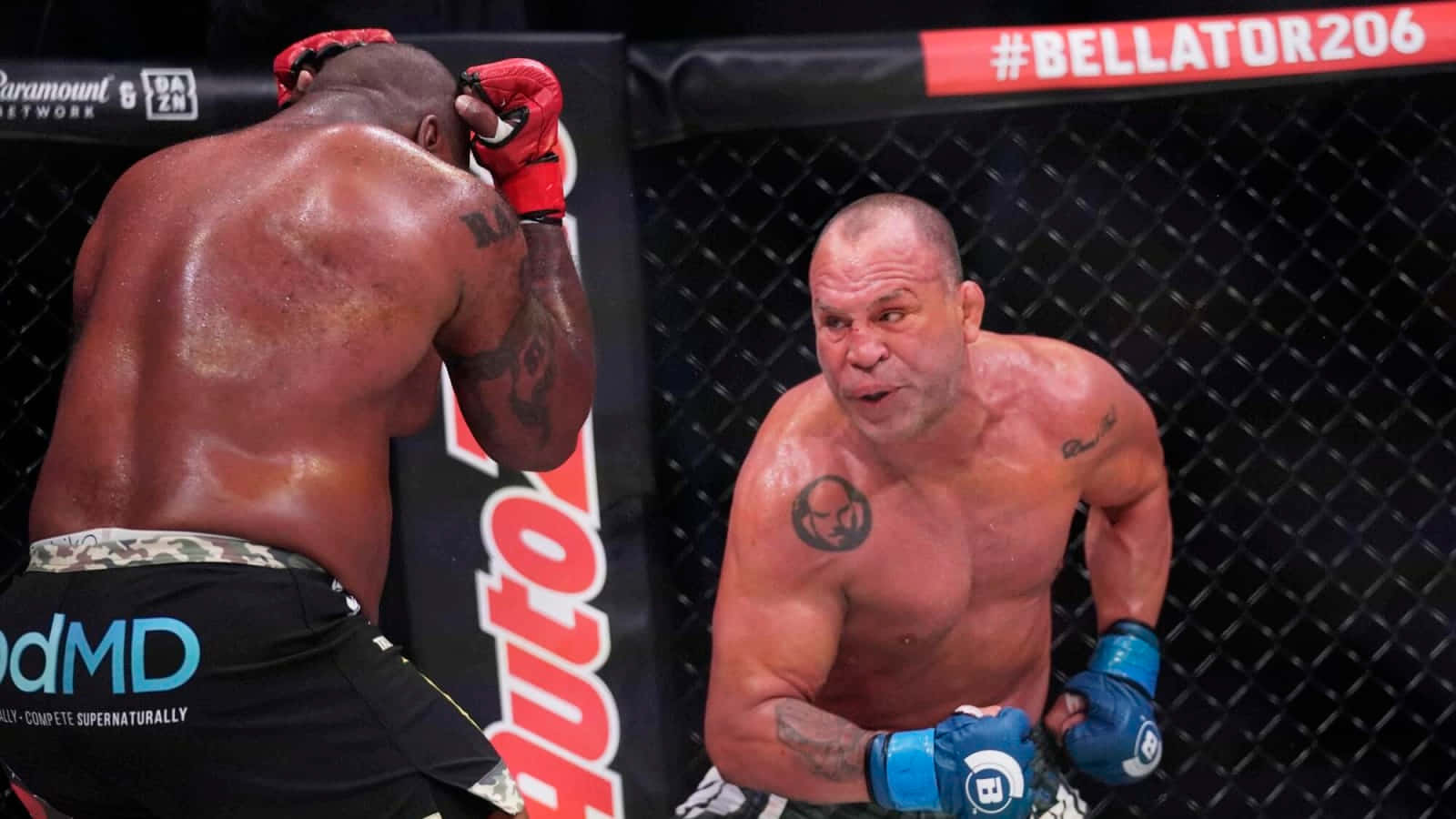 UFC 桌布 壁紙 — 兩名肌肉發達的拳手在籠中激烈對峙，進行Bellator MMA比賽，汗水在他們的皮膚上閃閃發光。