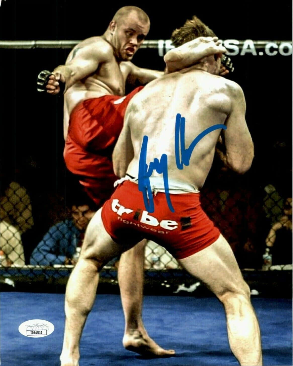 Fight 桌布 壁紙 — 兩名肌肉發達的拳手在籠鬥中激烈糾纏，其中一人踢出強力一腳。