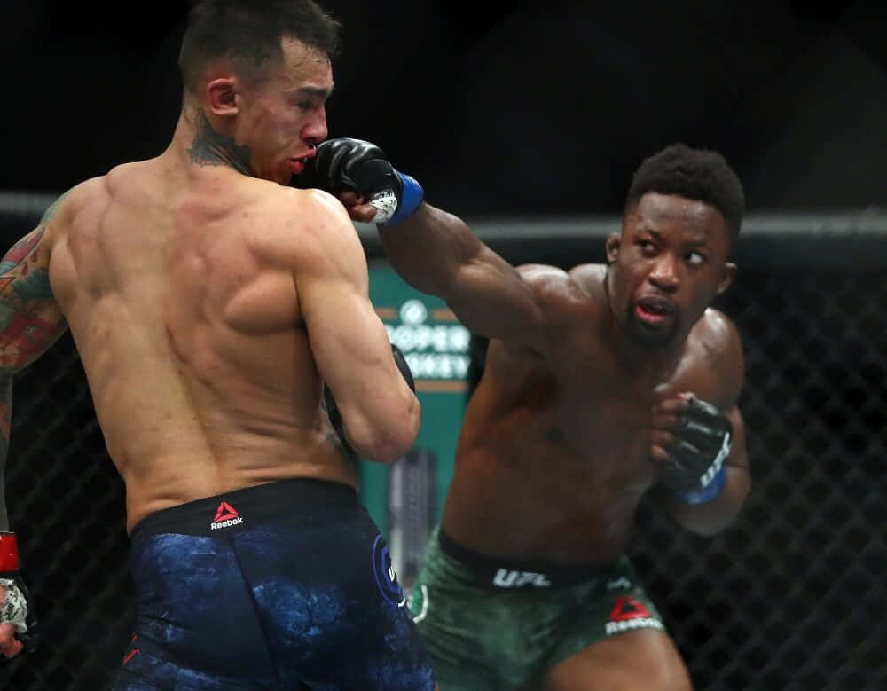 MMA 桌布 壁紙 — 兩名肌肉發達的拳手在鐵籠中激烈交鋒，其中一人在激烈的MMA比賽中向對方臉部揮出強力一拳。