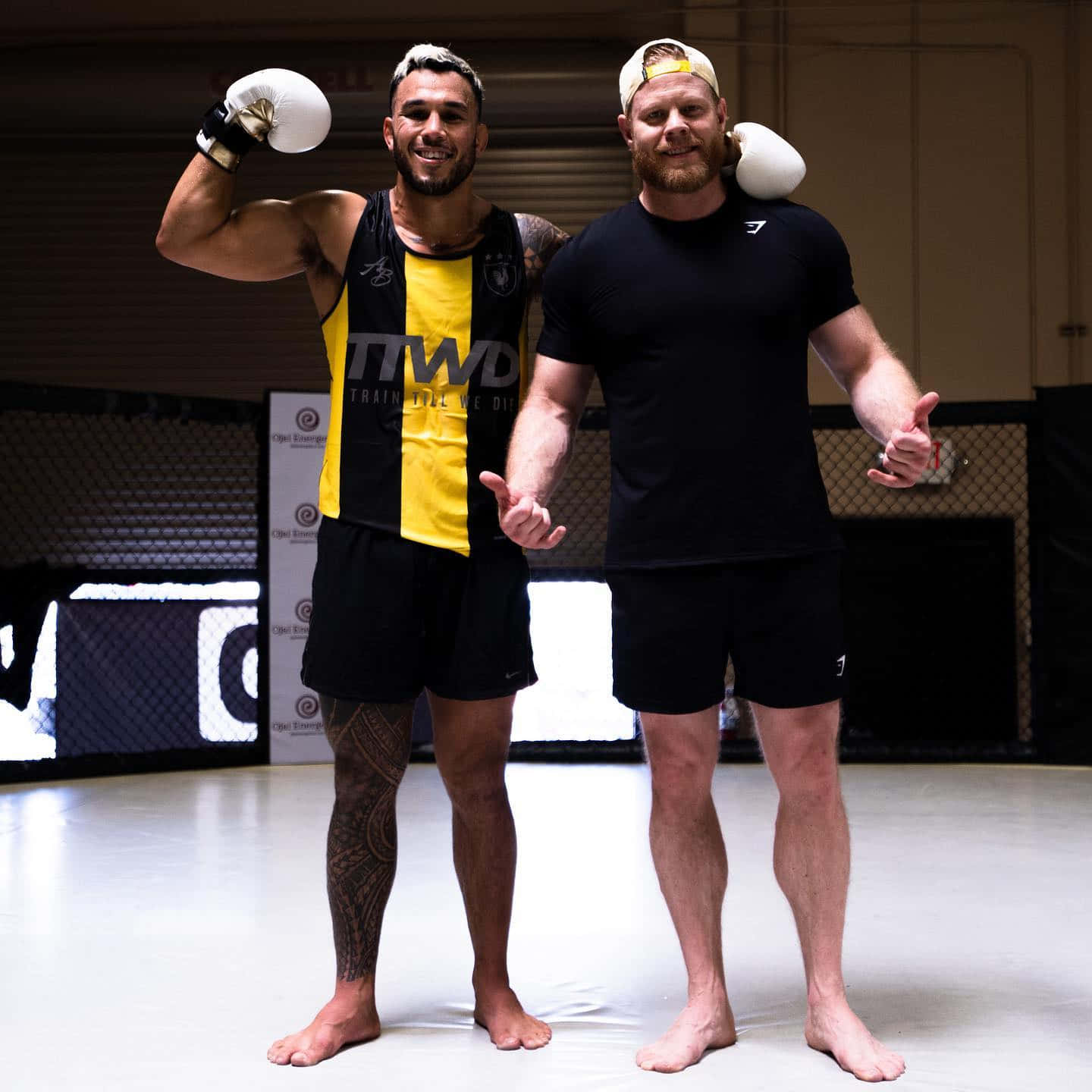 Boxing 桌布 壁紙 — 兩名肌肉發達的拳擊手在光線明亮的MMA八角籠內自信地擺姿勢，背景是鐵絲網圍欄。