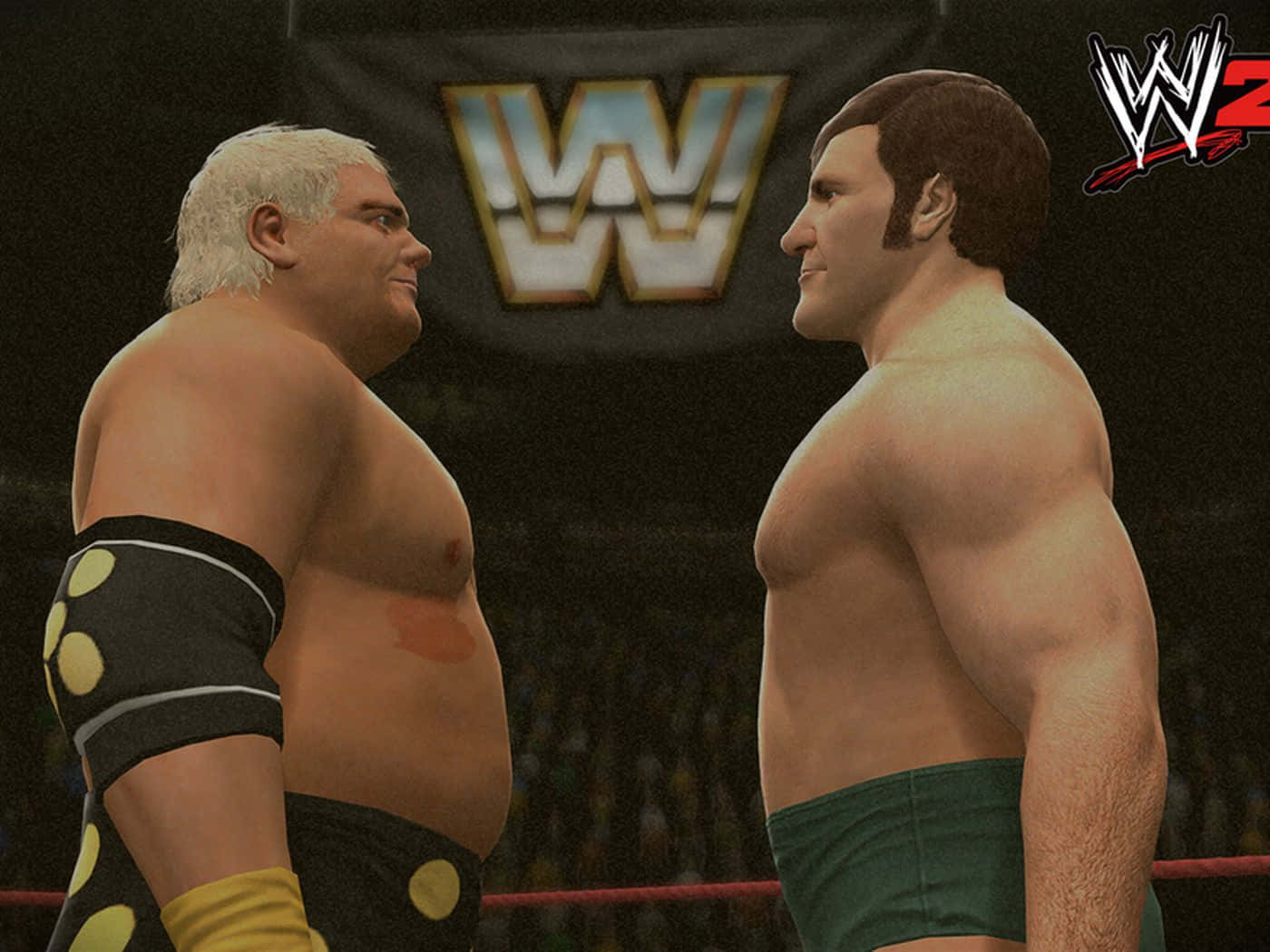 Wrestling 桌布 壁紙 — 兩名肌肉發達的摔角手在WWE品牌的擂台上對峙，背景有觀眾。