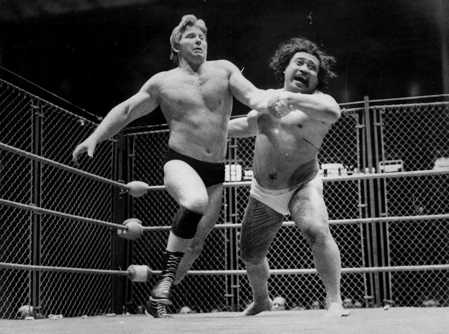 Peter Maivia 桌布 壁紙 — 兩名肌肉發達的摔角手在一個帶有鐵絲網圍欄背景的擂台上激烈纏鬥，照片呈粗糙的黑白風格。