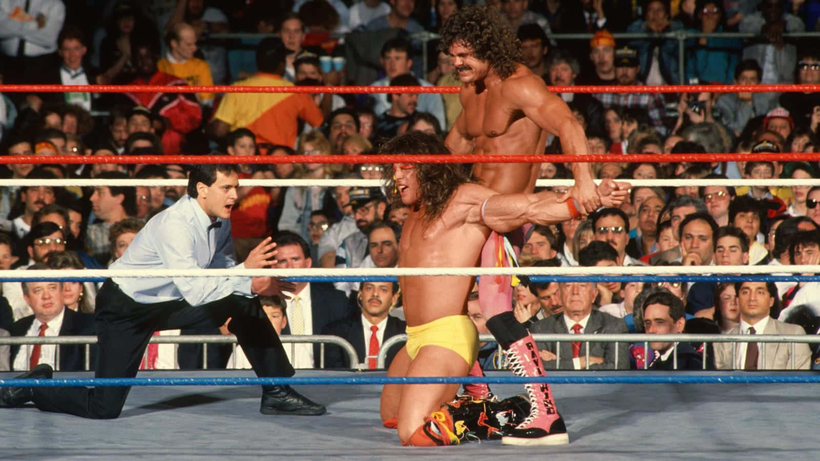 Wrestling 桌布 壁紙 — 兩名肌肉發達的摔角手在擂台上激烈纏鬥，裁判介入，全場觀眾專注觀看。