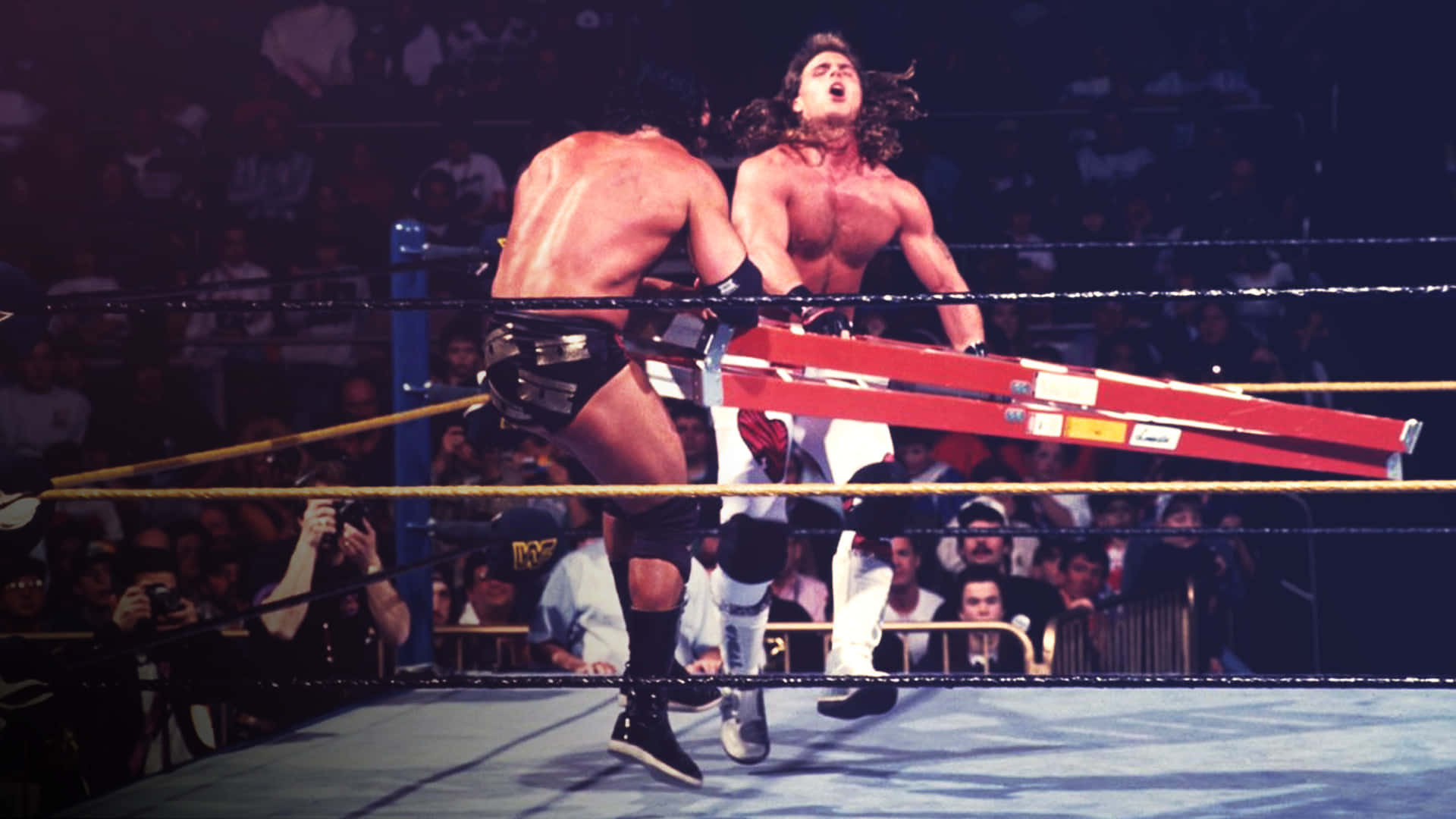 WWE 桌布 壁紙 — 兩名肌肉發達的摔角手在擂台上用紅色梯子纏鬥，觀眾在場館燈光下緊張觀看。