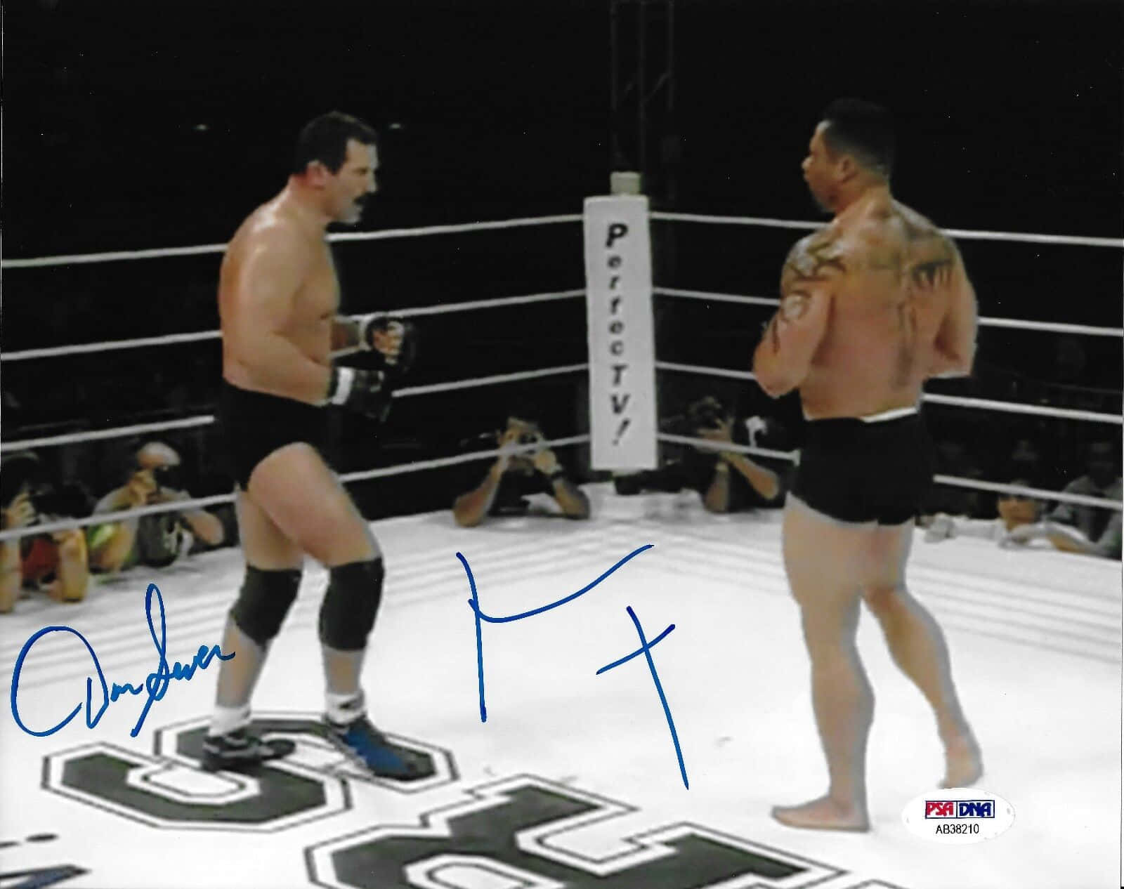 UFC 桌布 壁紙 — 兩名肌肉發達的摔角手在明亮燈光下於擂台上對峙，背景有觀眾和攝影機。