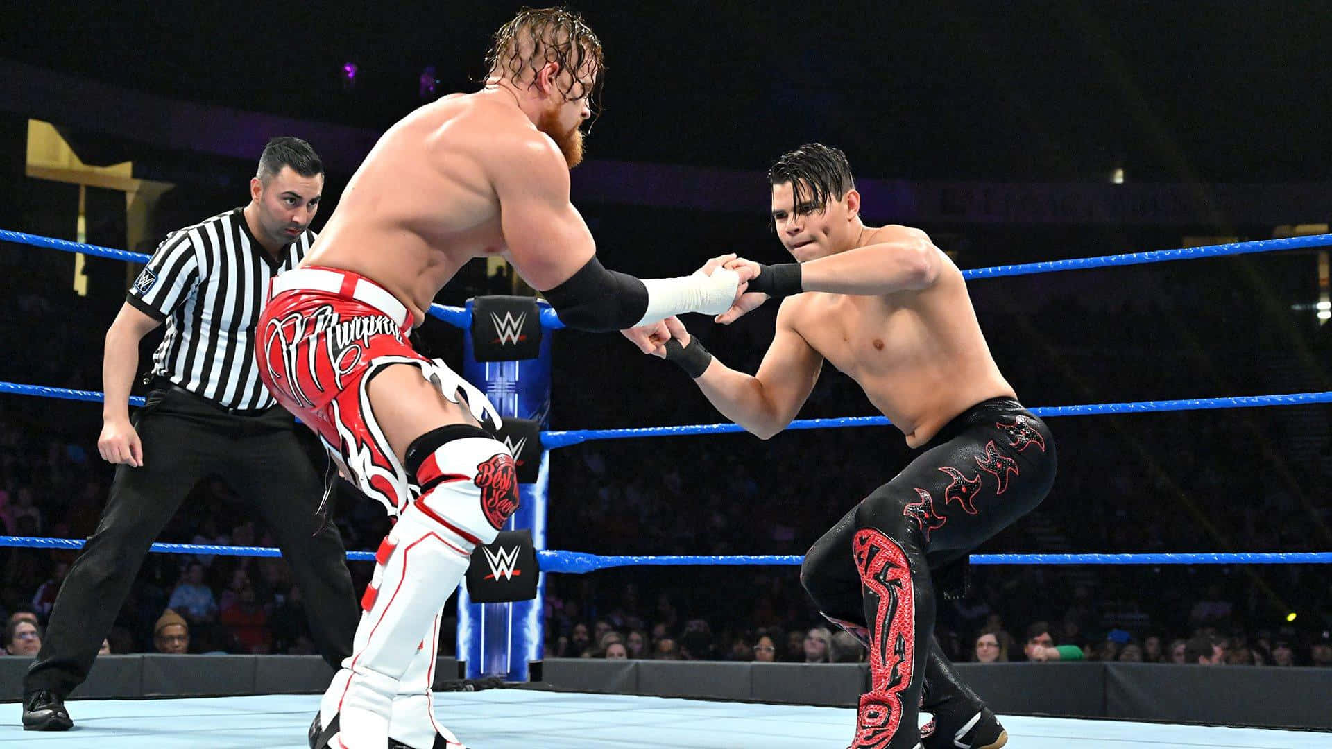 WWE 桌布 壁紙 — 兩名肌肉發達的摔角手在燈光明亮的擂台上激烈糾纏，裁判在旁仔細觀察。