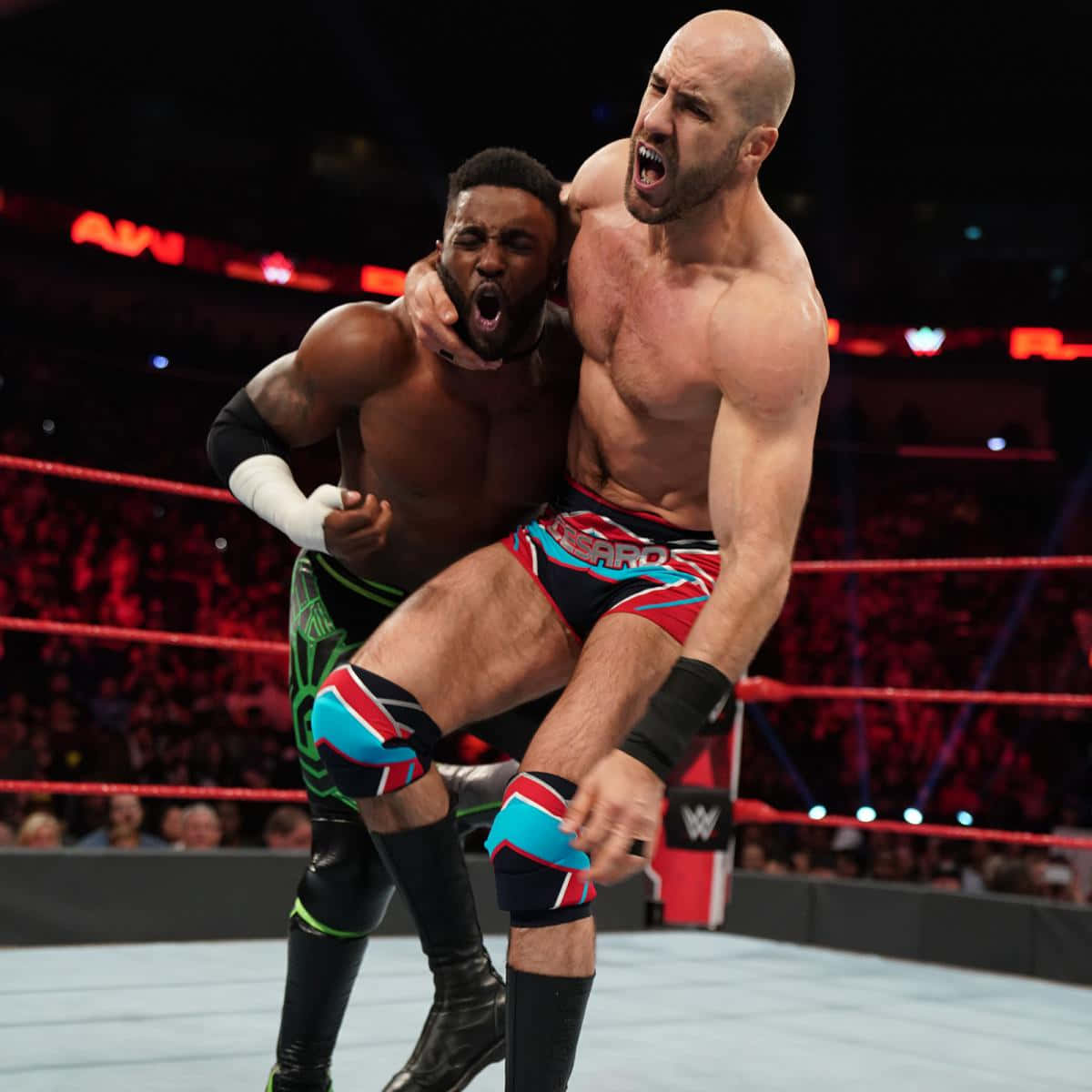 WWE 桌布 壁紙 — 兩名肌肉發達的摔角手在燈光明亮的擂台上激烈纏鬥，背景是歡呼的粉絲。