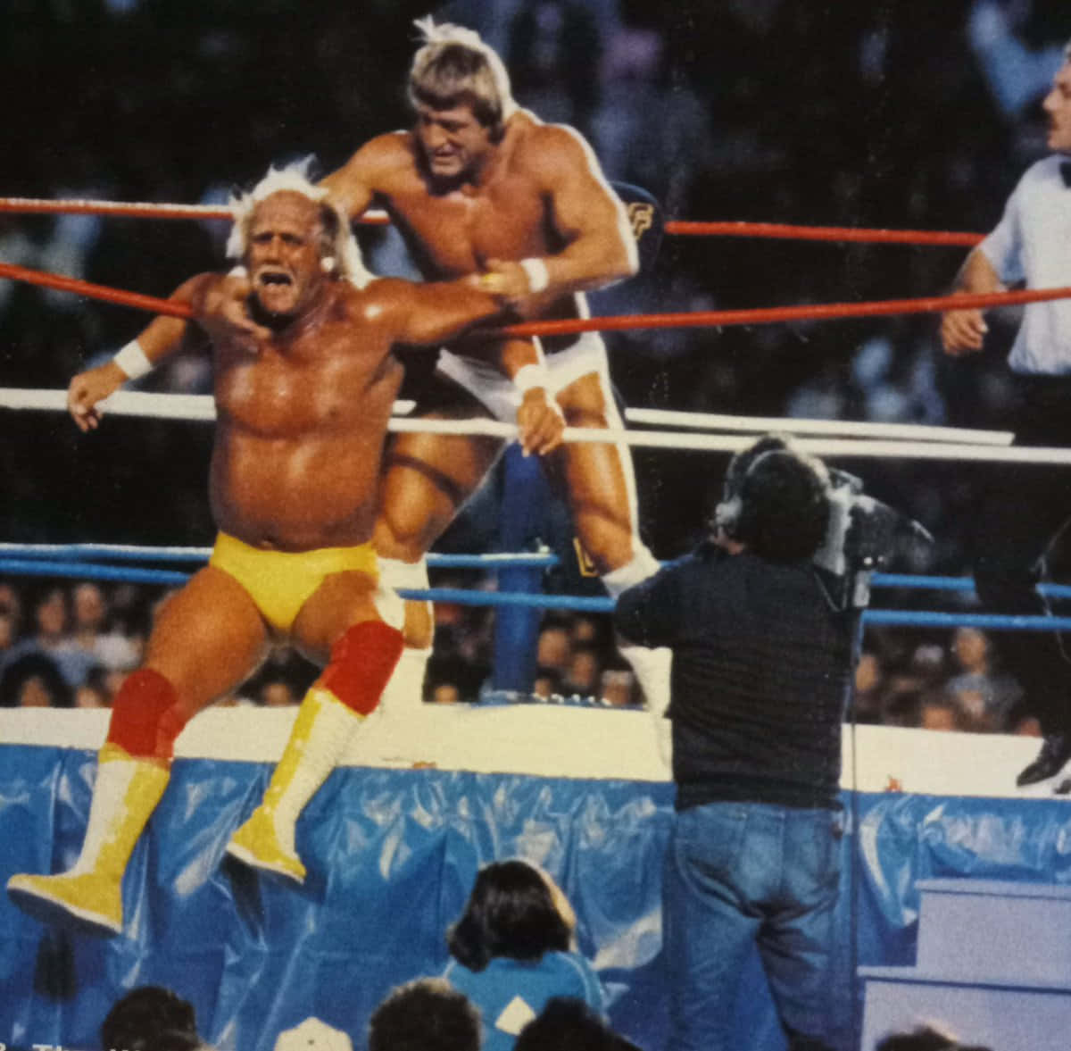 WWE 桌布 壁紙 — 兩名肌肉發達的摔角手在紅色繩索和藍色墊子的擂台上，在明亮的場館燈光下激烈纏鬥。