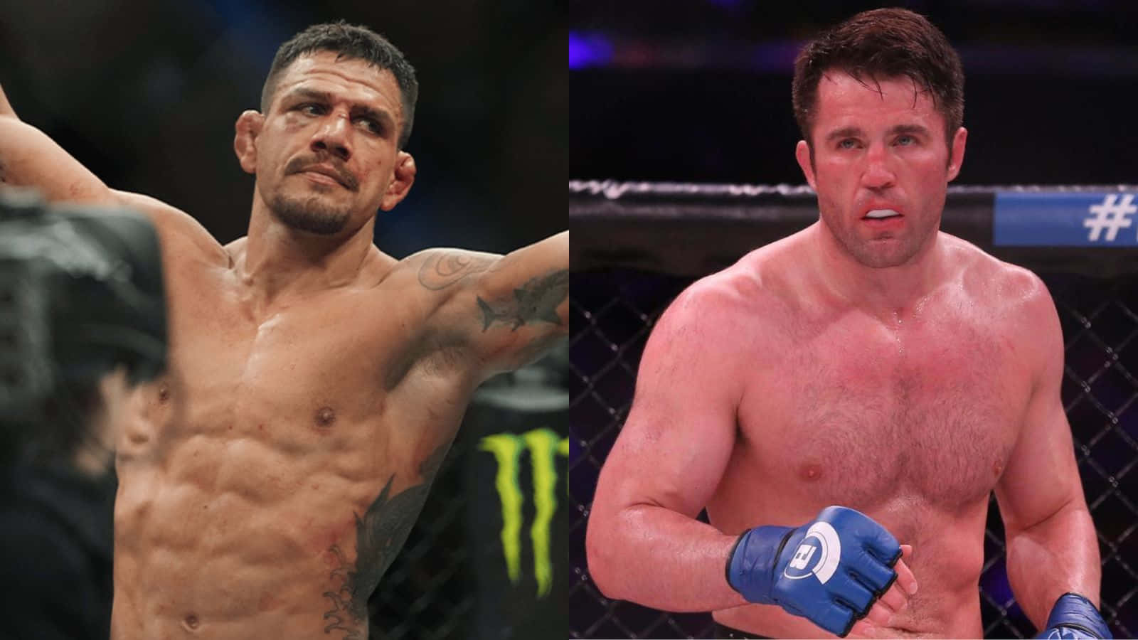 Celebrity 桌布 壁紙 — 兩名肌肉發達的男性MMA拳手在八角籠中，一人舉臂慶祝勝利，另一人神情專注而激烈。