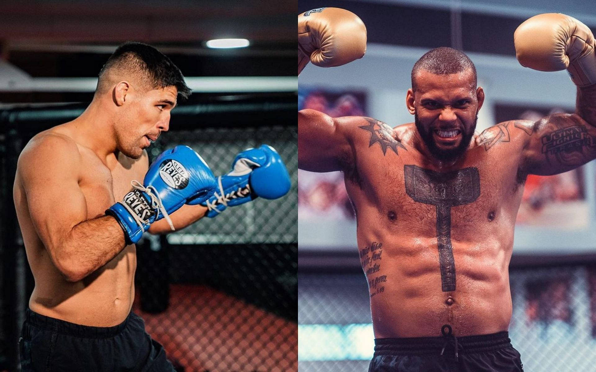 UFC 桌布 壁紙 — 兩名肌肉發達的男性拳手在籠中，一人戴藍色手套擺出防守姿勢，另一人展示刺青並舉起拳頭。
