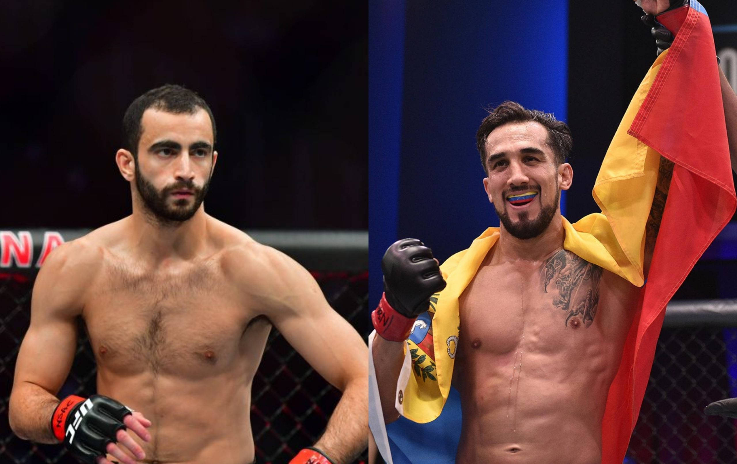 UFC 桌布 壁紙 — 兩名肌肉發達的男性拳手在籠中，一名神情肅穆，一名披著旗幟慶祝。
