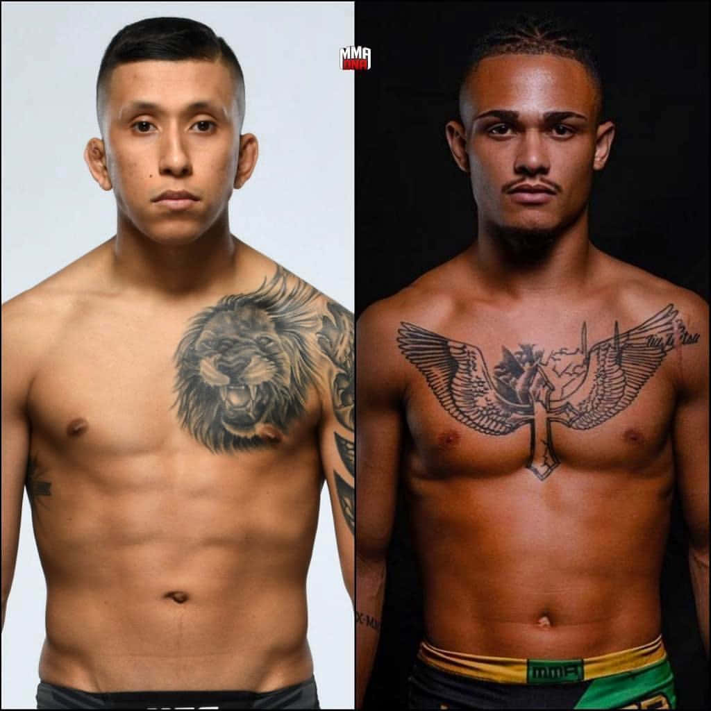 MMA 桌布 壁紙 — 兩名肌肉發達的男性拳手赤裸上身擺姿勢，一人有獅子紋身，另一人有天使翅膀紋身，背景形成對比。
