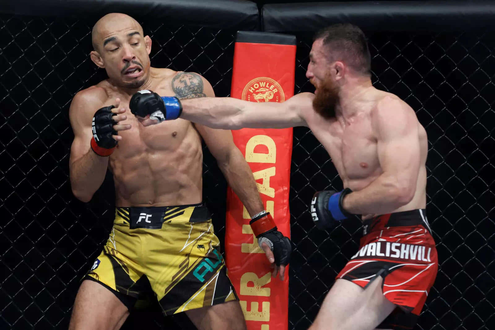 UFC 桌布 壁紙 — 兩名肌肉發達的鬥士在八角籠中交鋒，其中一拳擊中對方的臉部，對方痛苦地扭曲表情。