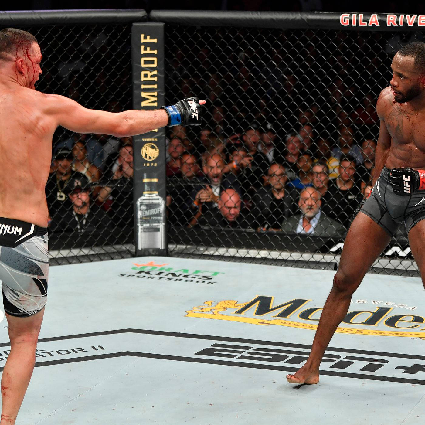 MMA 桌布 壁紙 — 兩名血跡斑斑的MMA拳手在UFC八角籠內對峙，籠後觀眾吶喊聲震天。