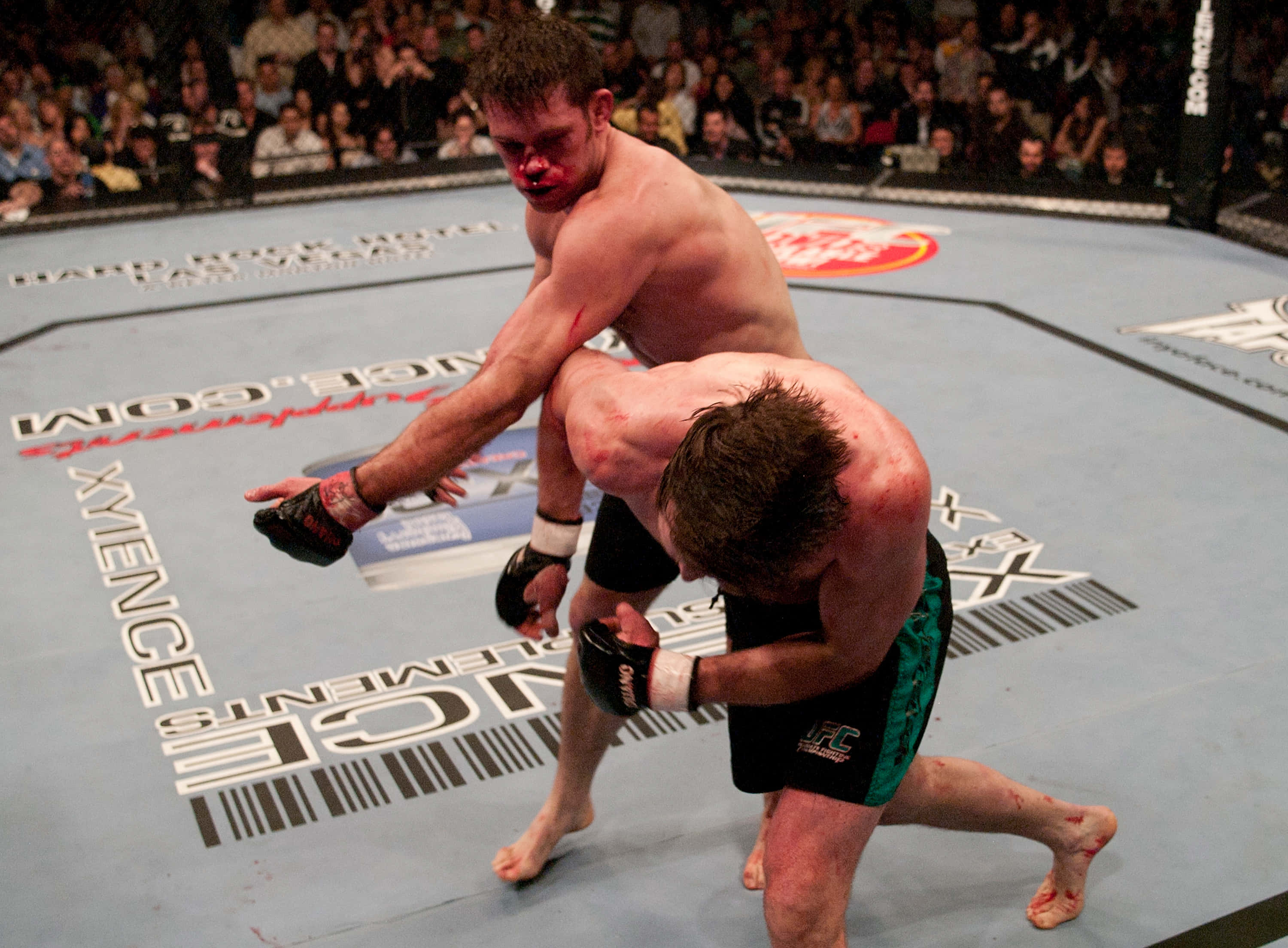MMA 桌布 壁紙 — 兩名血跡斑斑的MMA拳手在八角籠內激烈纏鬥，觀眾專注觀看。