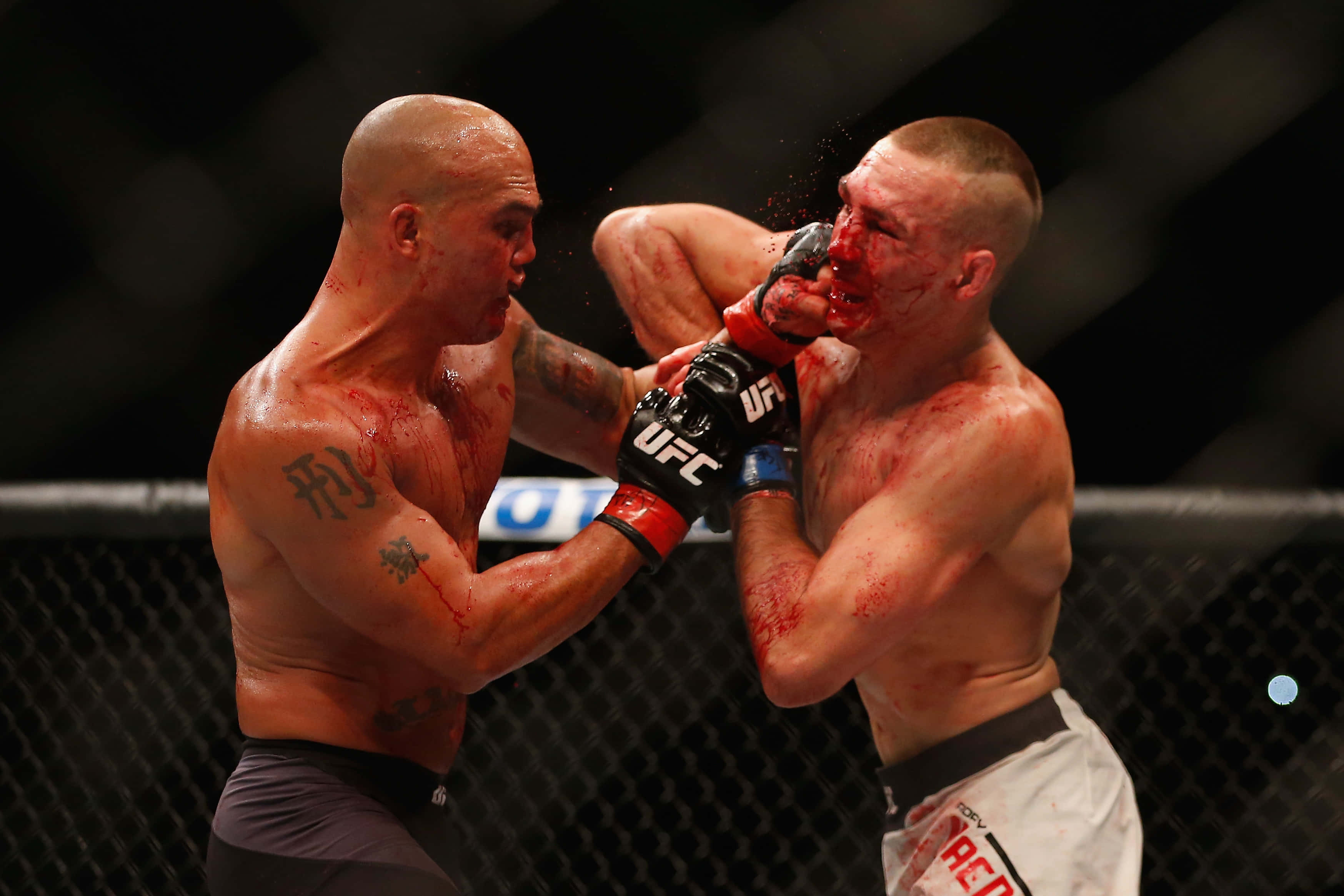 Fight 桌布 壁紙 — 兩名血跡斑斑的MMA拳手在激烈的鐵籠賽中碰撞，汗水與鮮血飛濺。