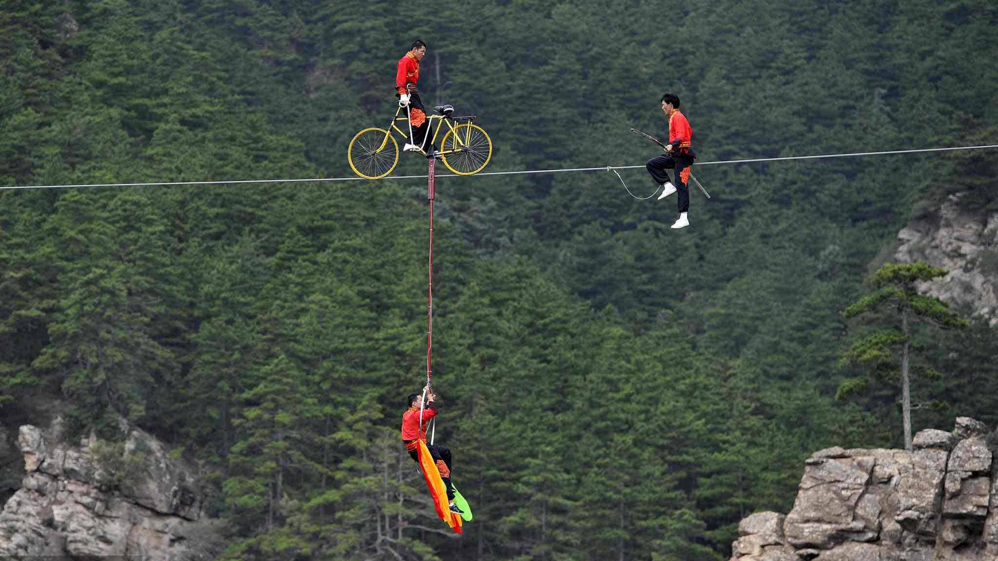 Daring 桌布 壁紙 — 兩名表演者在森林峽谷上方的鋼絲上保持平衡，一人騎著黃色腳踏車，另一人則用繩索懸掛在下方。