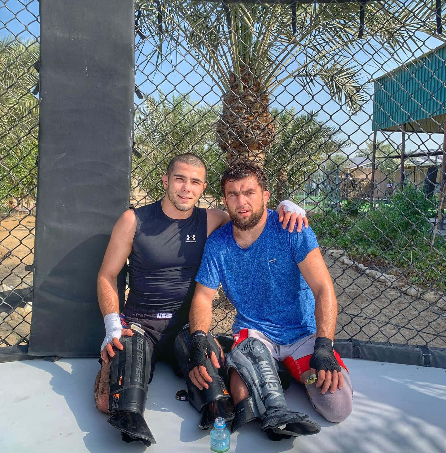 MMA 桌布 壁紙 — 兩名裝備齊全的戰士在晴朗的日子裡坐在棕櫚樹下的鐵絲網圍欄旁。