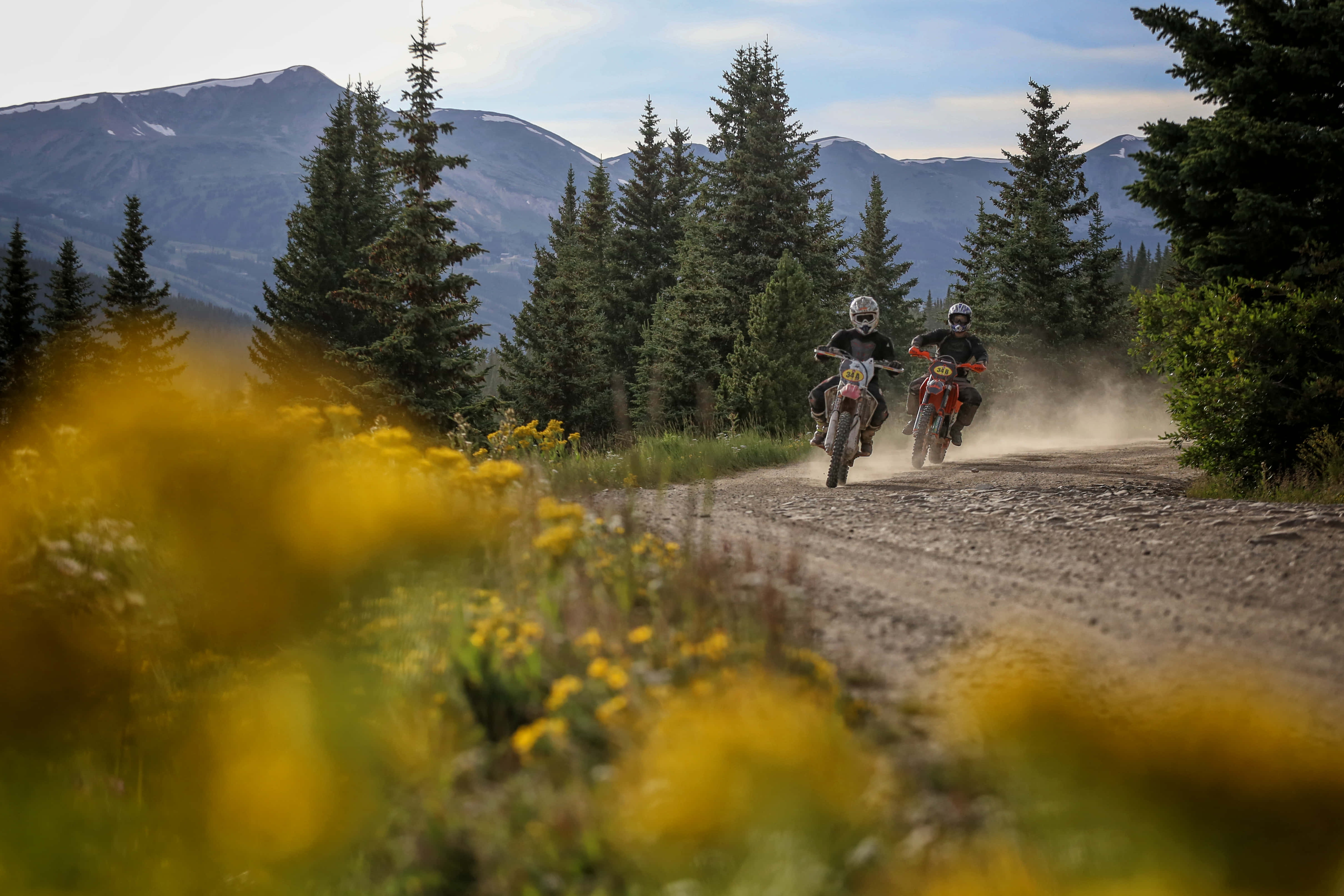 Dirtbike 桌布 壁紙 — 兩名越野摩托車手在塵土飛揚的森林小徑上奔馳，前景是積雪的山峰和黃色野花。