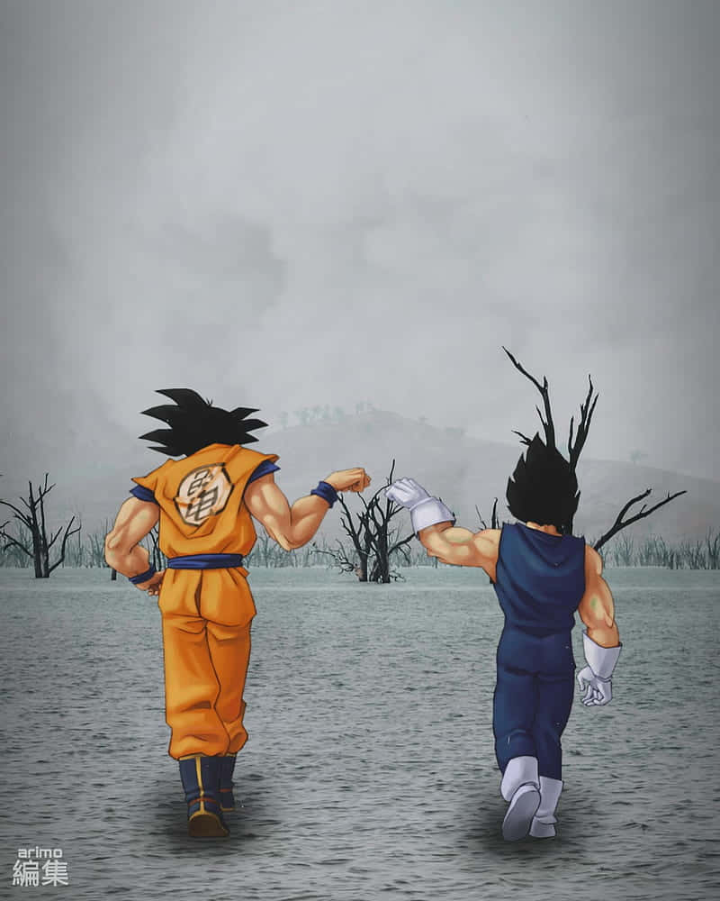 桌布 壁紙 — 兩名身穿橙色和藍色道服的動漫戰士，並肩跑過一片荒涼的灰色荒地，樹木光禿。
