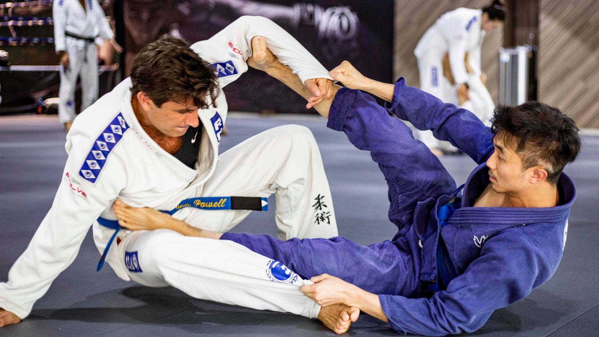 martial arts 桌布 壁紙 — 兩名身穿白色和藍色柔道服的男運動員在健身房的深色軟墊上執行一個動態的巴西柔術降服技。