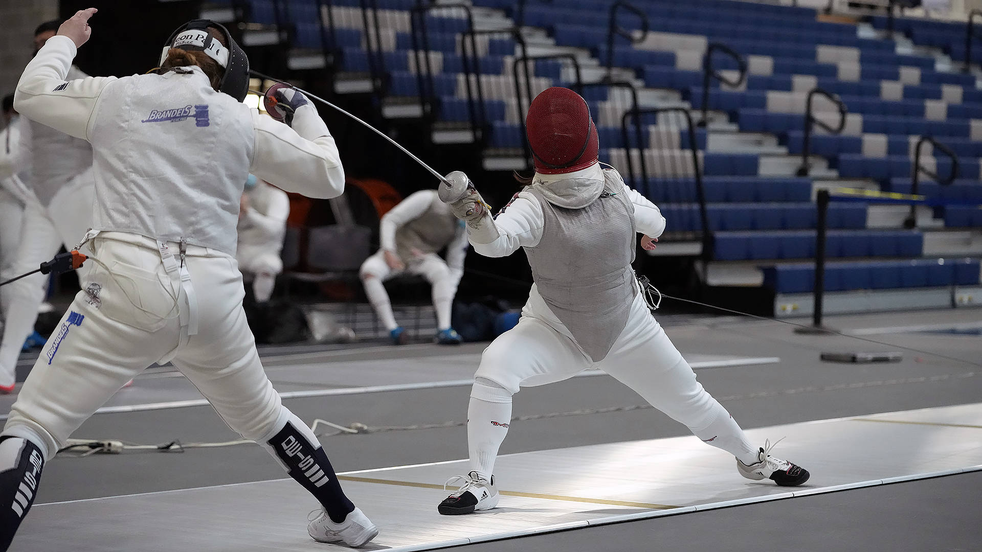 Fencing 桌布 壁紙 — 兩名身穿白色裝備的劍擊手在室內激烈交鋒，背景是藍色看台。