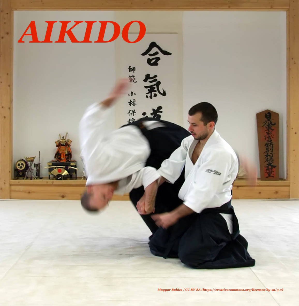 martial arts 桌布 壁紙 — 兩名身穿白色道服的合氣道練習者在一個有書法和神社裝飾的木製道場中執行一個動態投擲。
