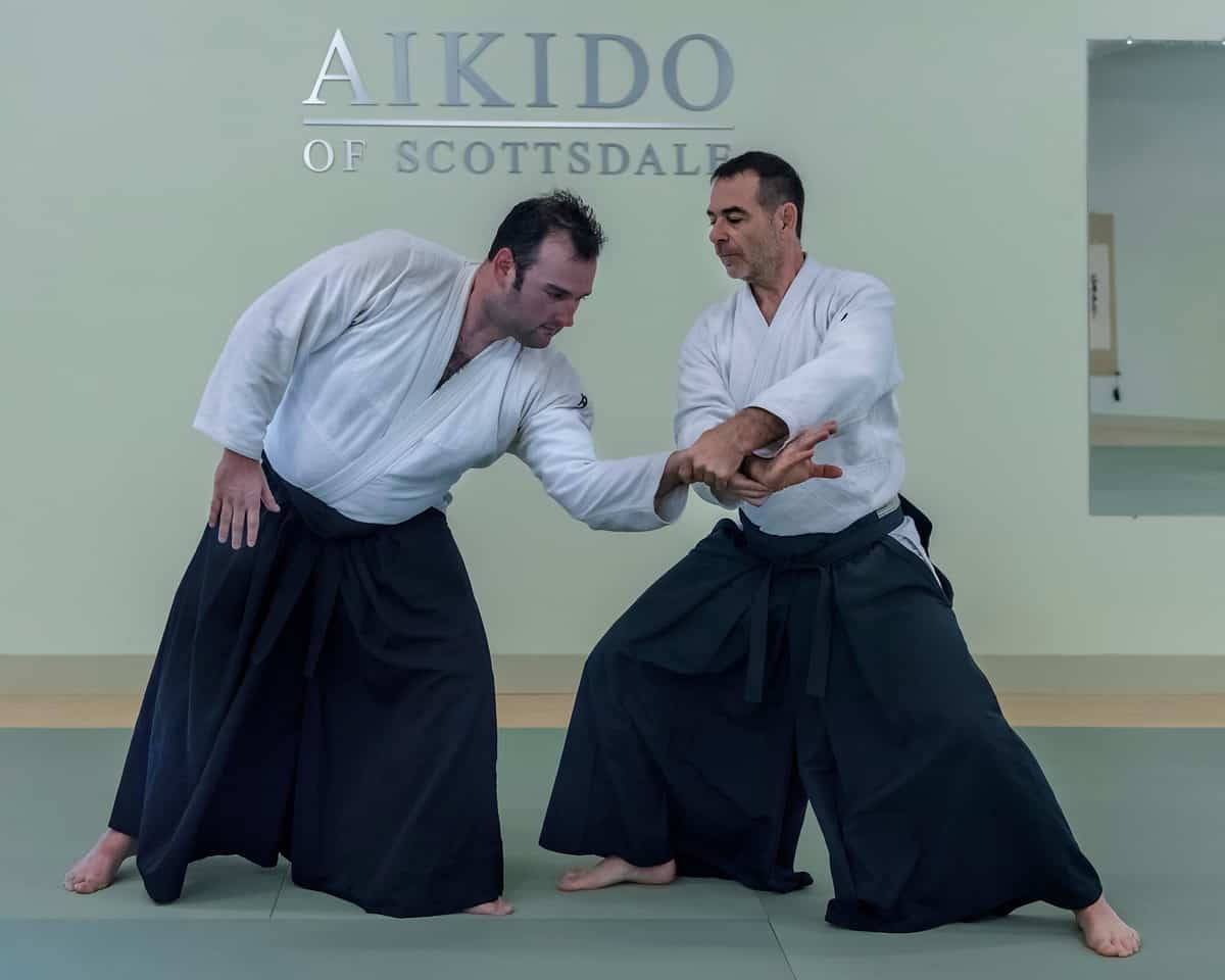 martial arts 桌布 壁紙 — 兩名身穿白色道服的男性在柔和的室內燈光下，於綠色軟墊上練習合氣道技巧。