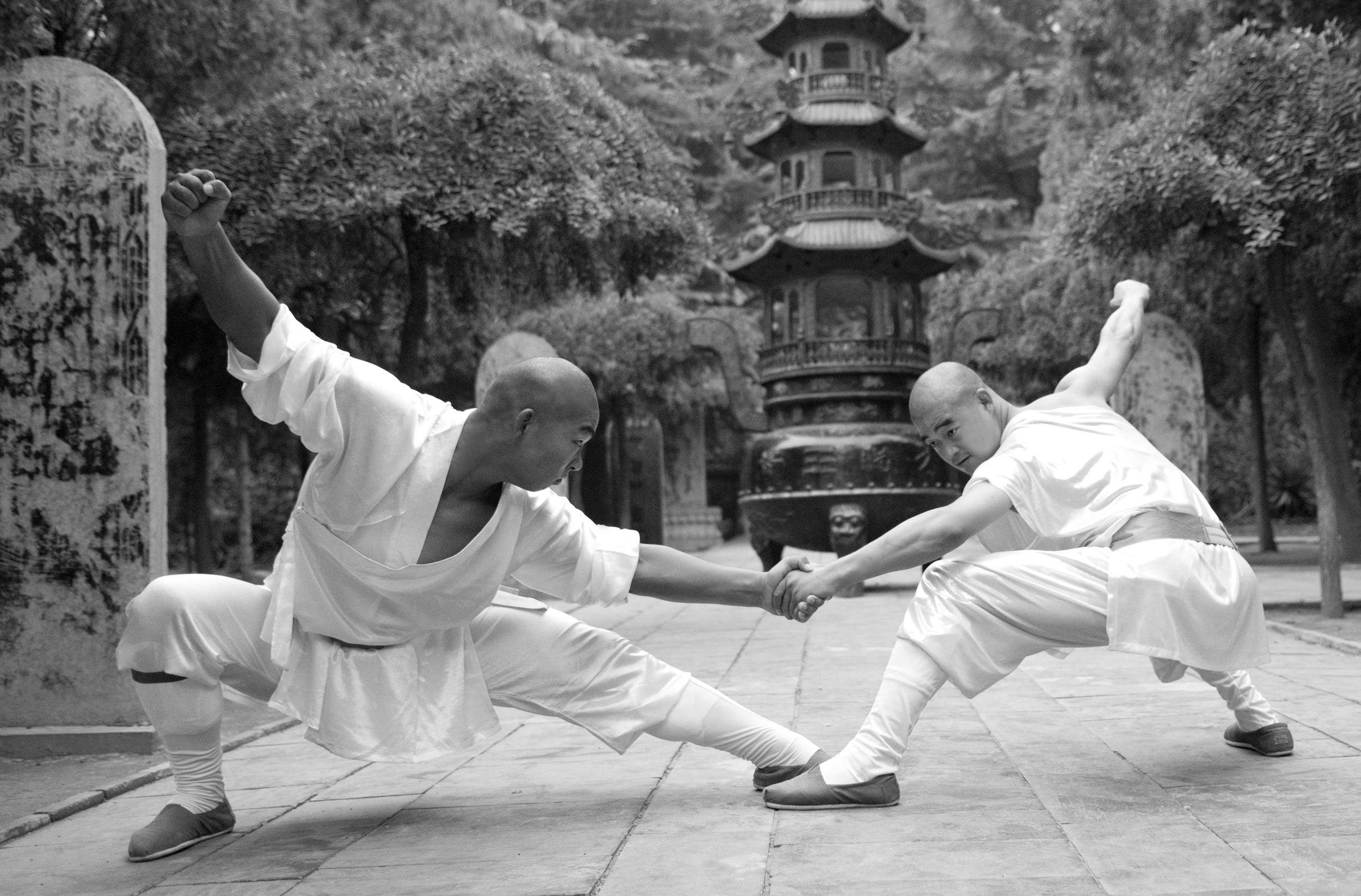 martial arts 桌布 壁紙 — 兩名身穿白色長袍的僧侶在一個寧靜的寺廟庭院中練習武術，周圍環繞著樹木和石塔。