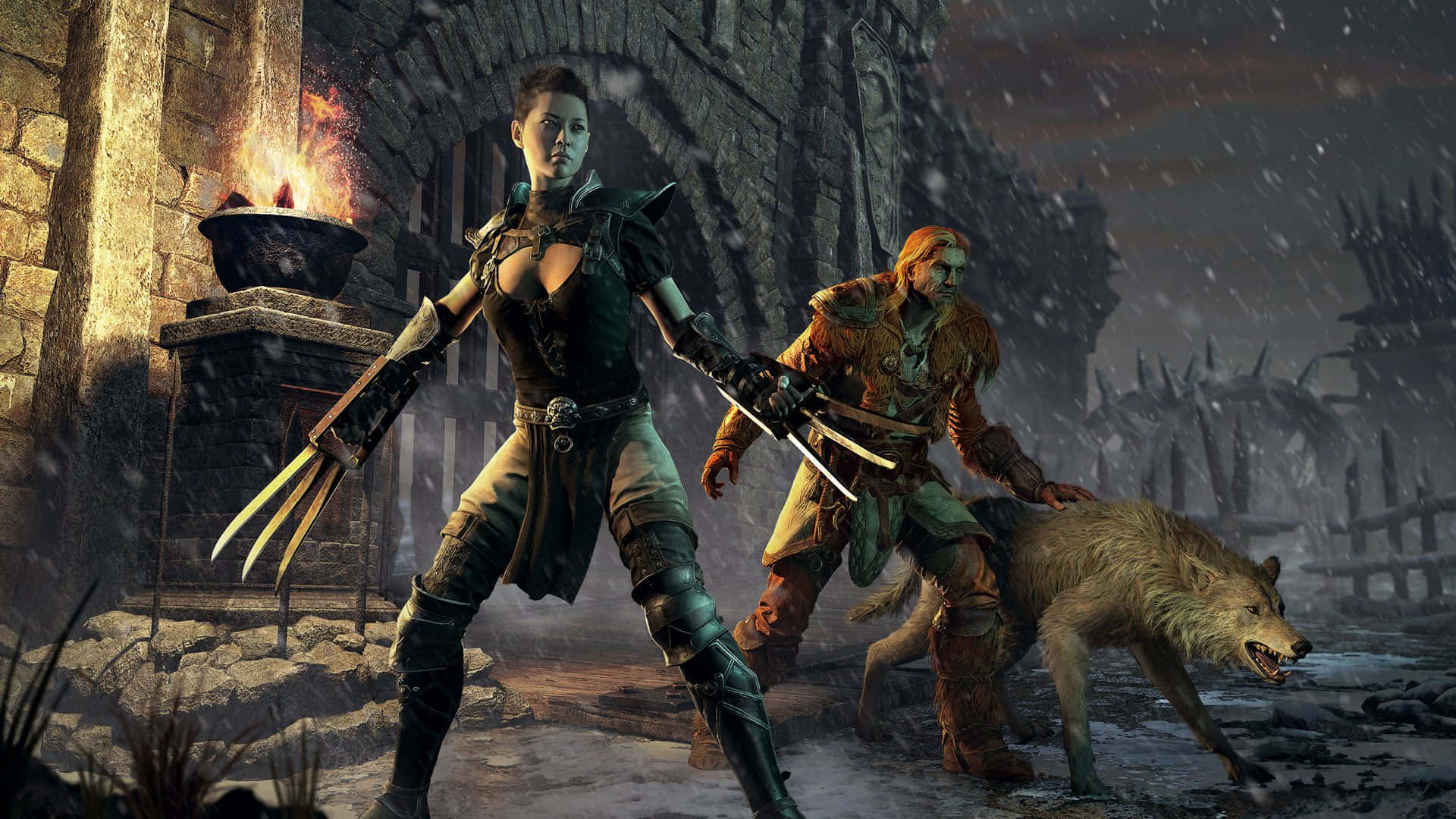 Diablo 2 Resurrected 桌布 壁紙 — 兩名身穿盔甲的冒險者站在雪覆蓋的石頭庭院中，身邊有一隻狼，火炬的光芒在古老的牆壁上閃爍。