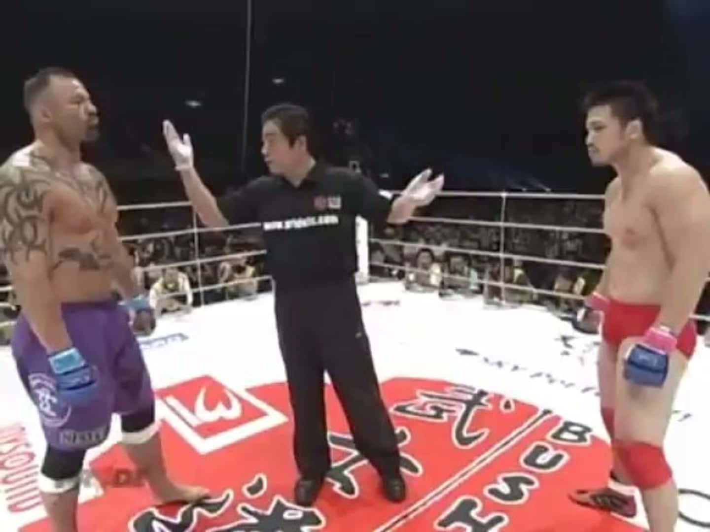UFC 桌布 壁紙 — 兩名身穿紅色和紫色短褲的拳手在燈光明亮的MMA擂台上對峙，裁判在他們之間做手勢。