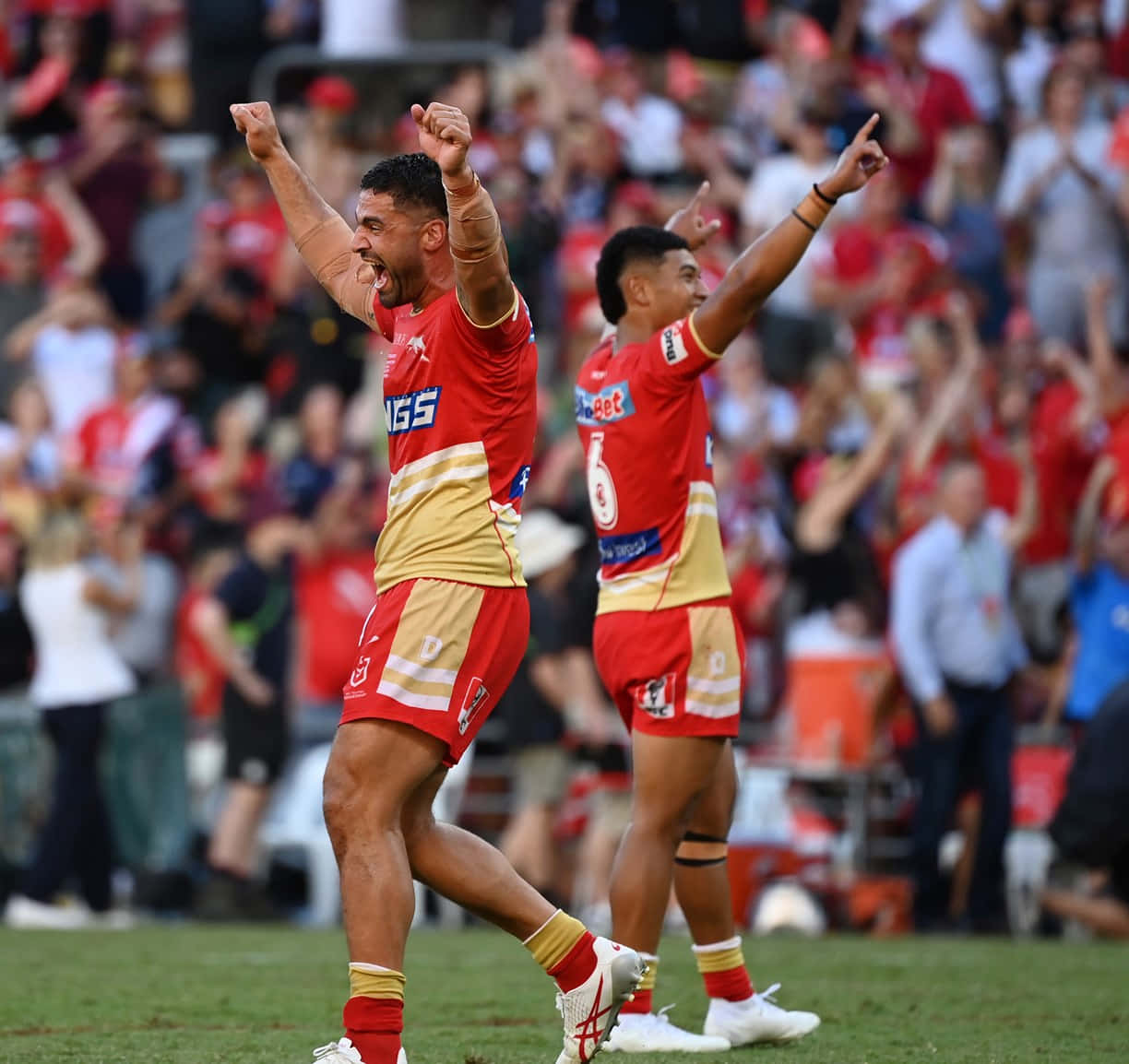 Dolphins Nrl 桌布 壁紙 — 兩名身穿紅色和金色球衣的橄欖球聯賽球員在草地上慶祝勝利，背景有歡呼的球迷。