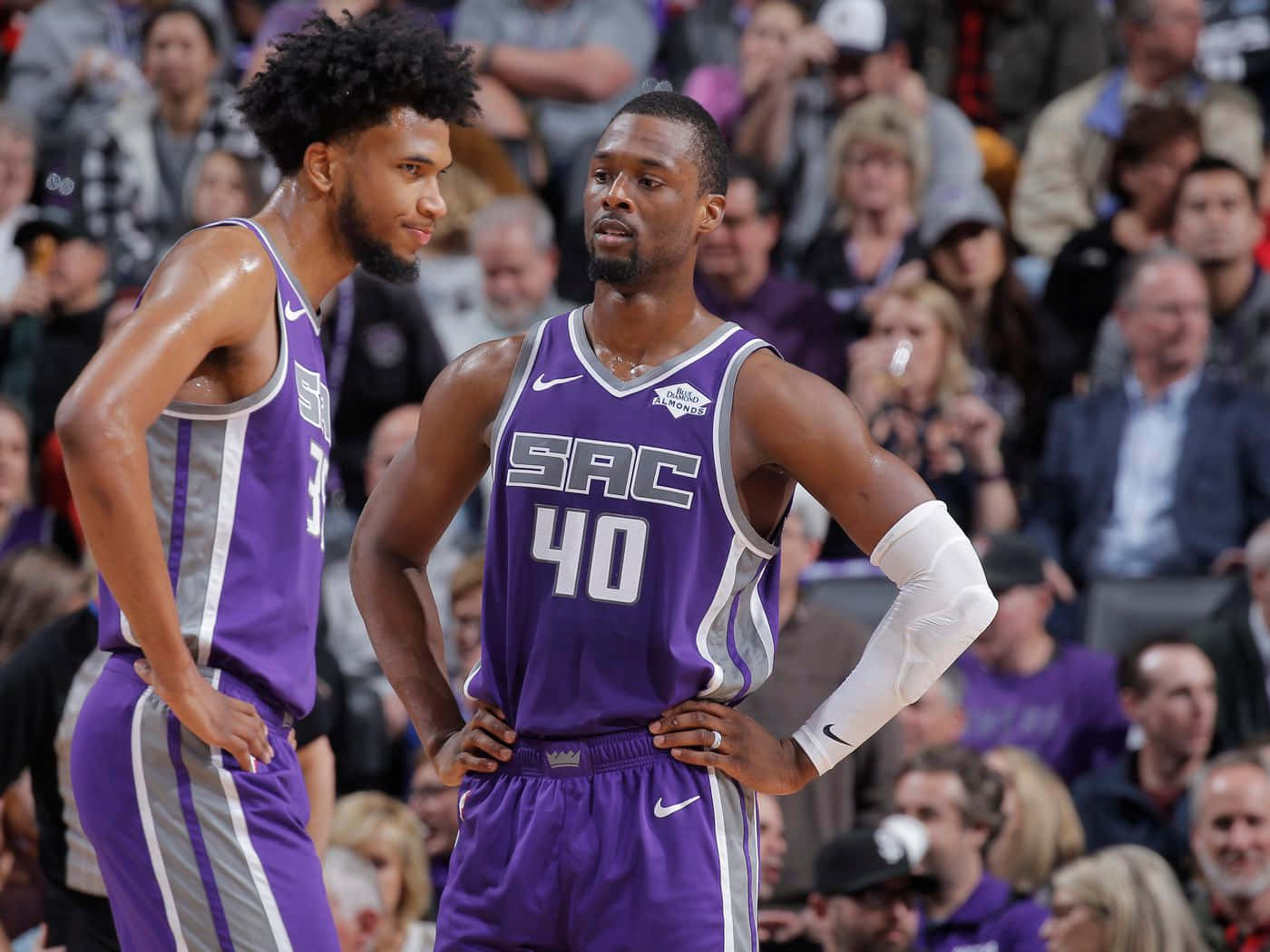 NBA 桌布 壁紙 — 兩名身穿紫色球衣的沙加緬度國王隊籃球運動員在比賽中雙手叉腰站立，背景有觀眾。