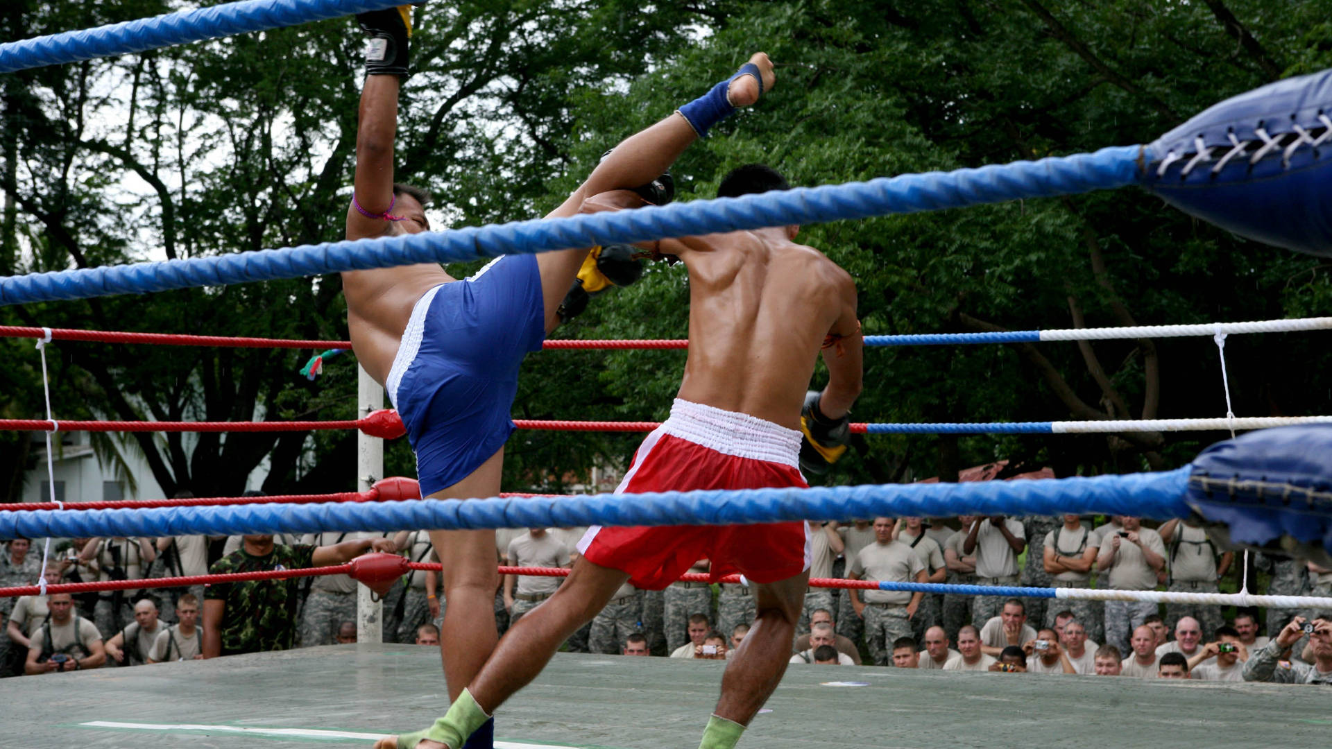 Boxing 桌布 壁紙 — 兩名身穿藍色和紅色短褲的拳手在戶外拳擊場內交換高踢和拳擊，周圍有觀眾。
