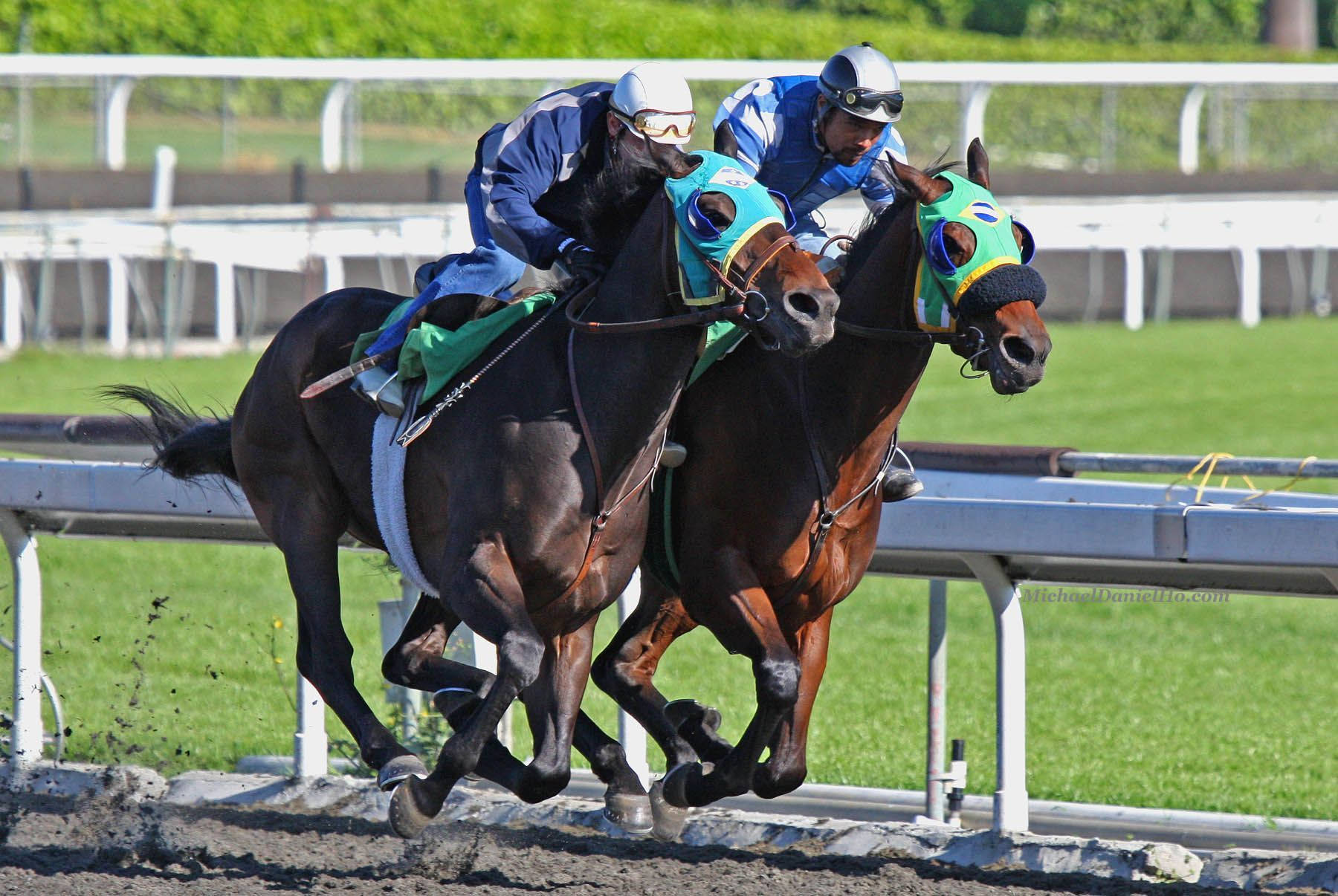 Horse Racing 桌布 壁紙 — 兩名身穿藍色絲綢的騎師在泥濘的賽道上並肩騎著深色馬匹，背景有綠色草地和白色欄杆。