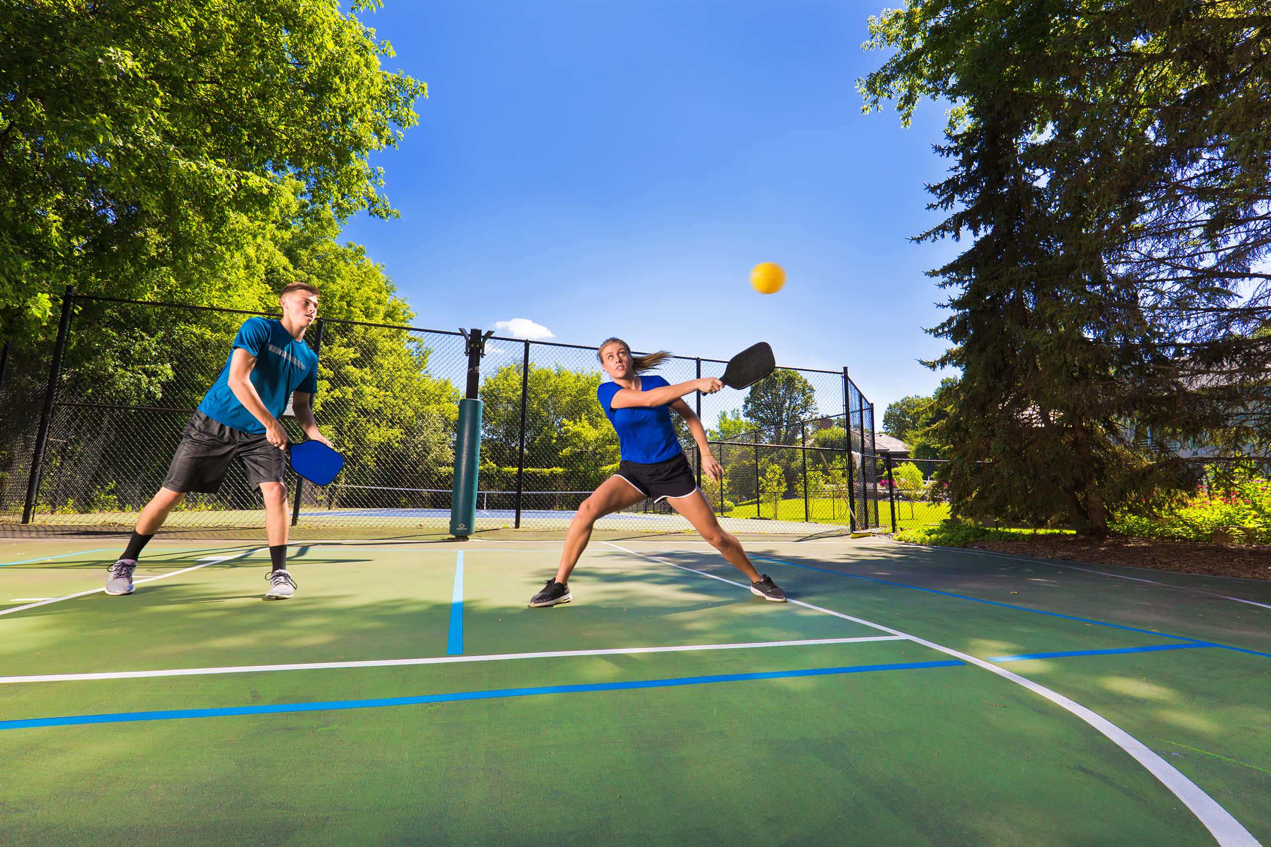 sport 桌布 壁紙 — 兩名身穿藍色襯衫的運動員在綠色的球場上打匹克球，頭頂是清澈的藍天，圍欄區域周圍有樹木環繞。